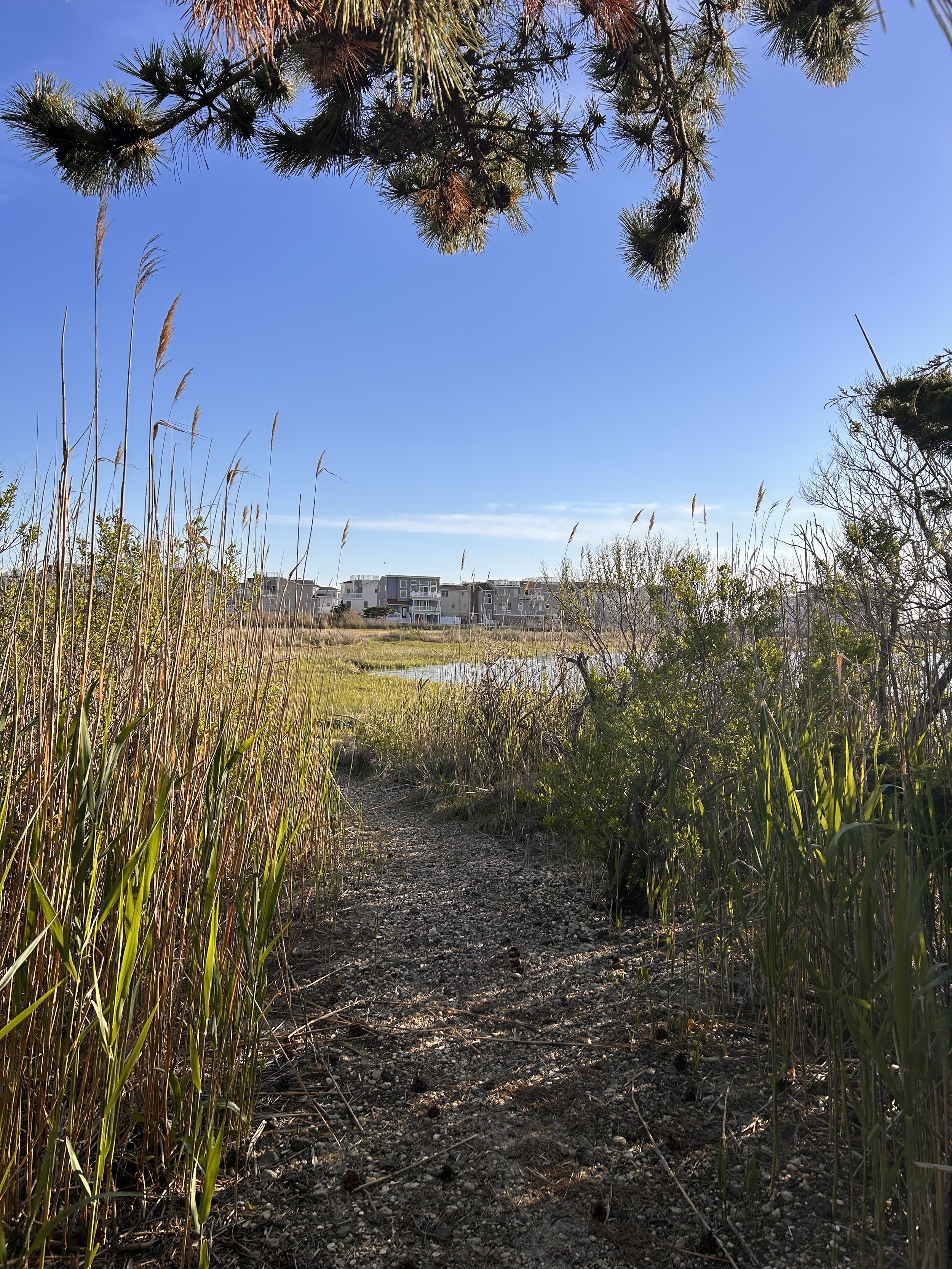 Long Beach Island Real Estate Market Update: May vs June 2026