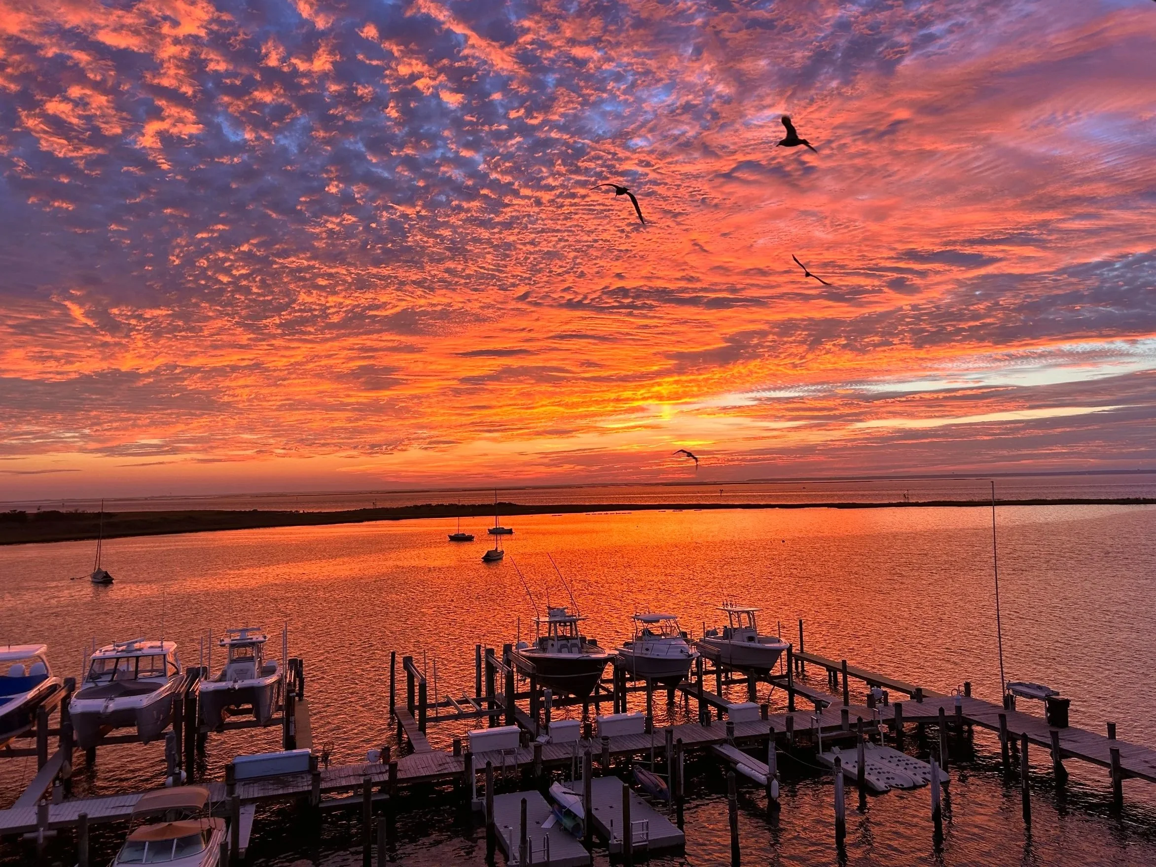 Long Beach Island Real Estate Market Update: August vs September 2026