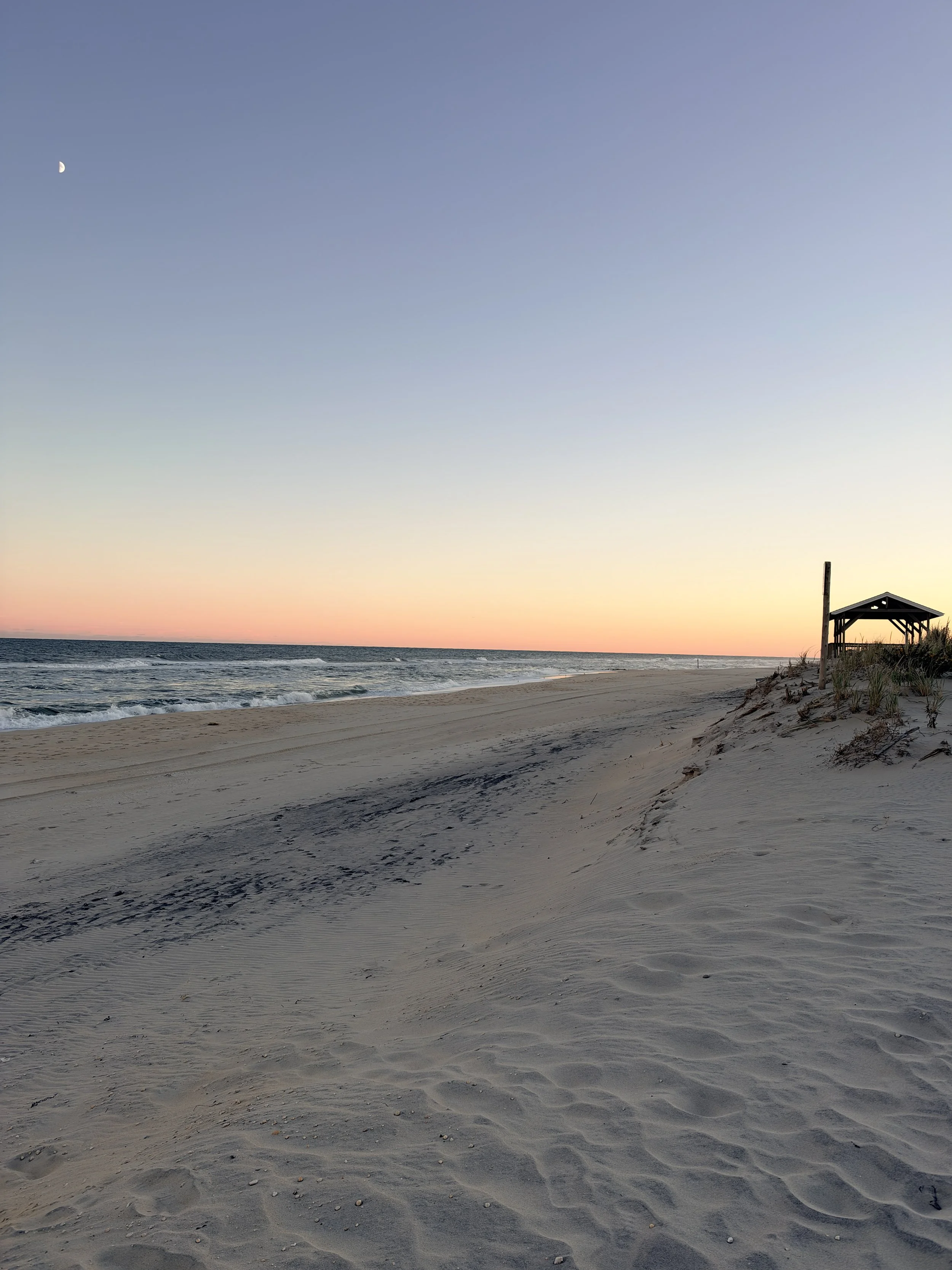 What Is an Elevation Certificate, and Why Does It Matter on Long Beach Island?
