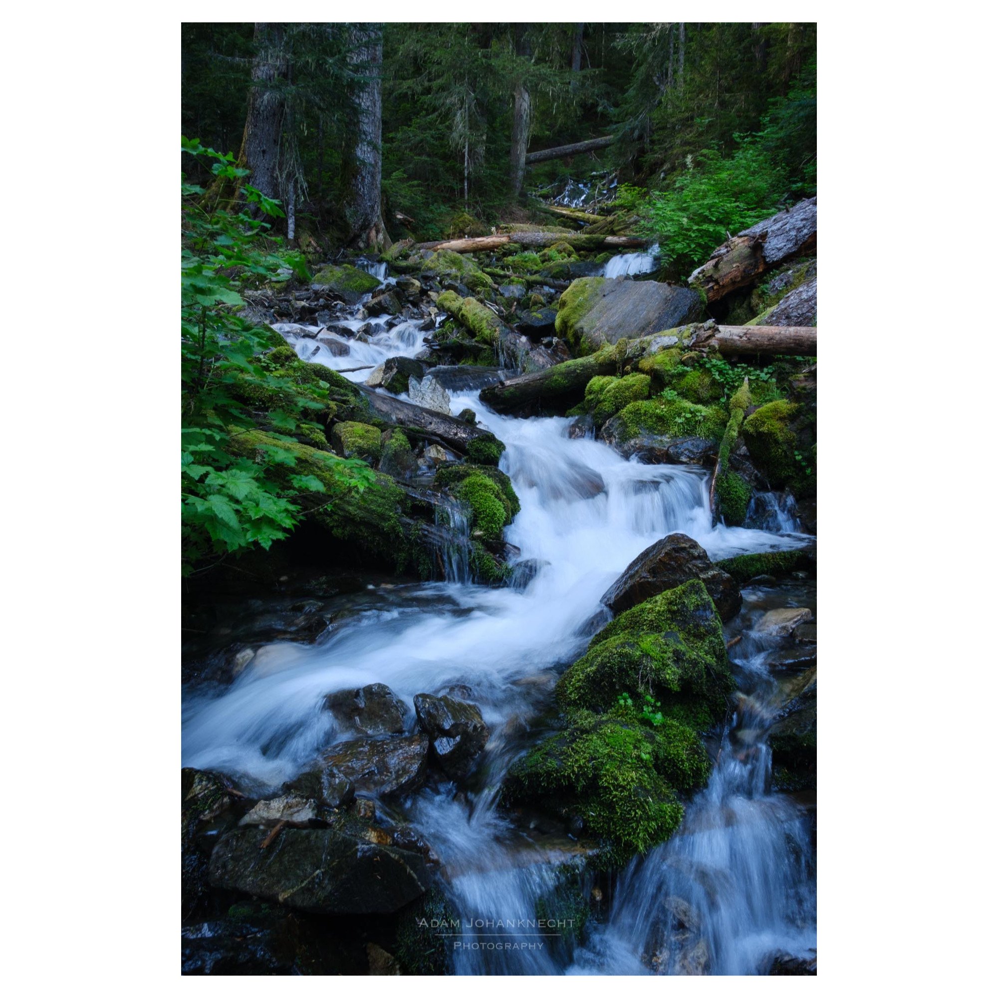 F593C038-A985-4951-A7B4-59917F9CDC35.jpeg
