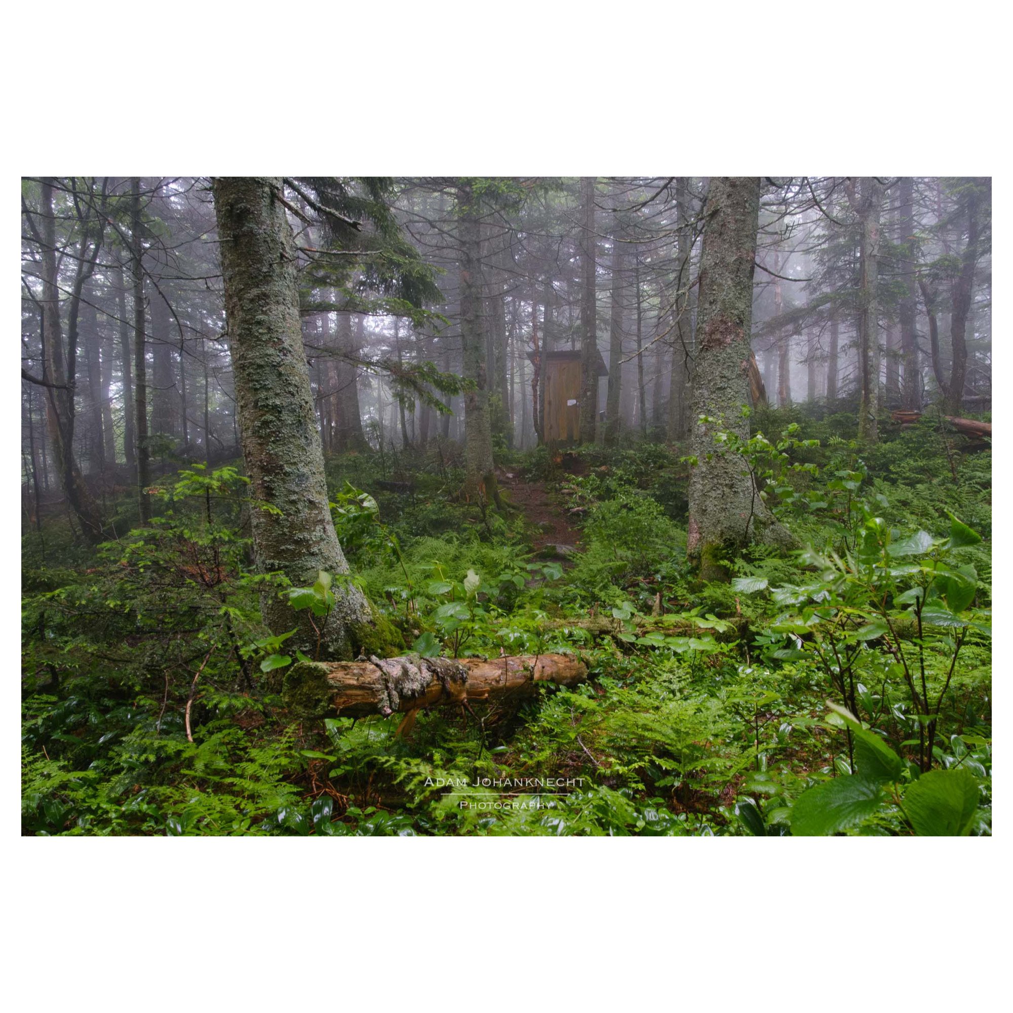 Whitagram-Image.jpeg