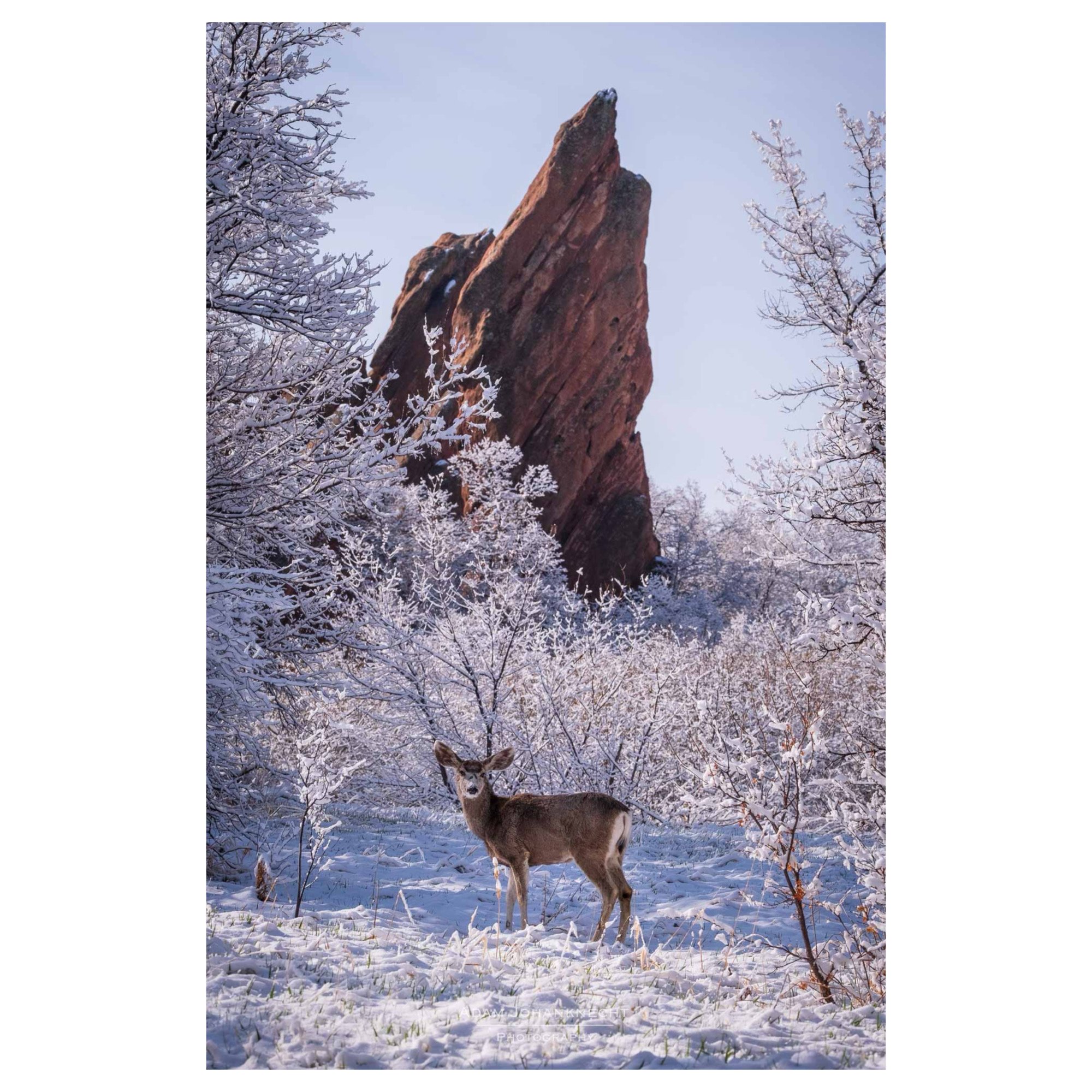 Whitagram-Image.jpeg