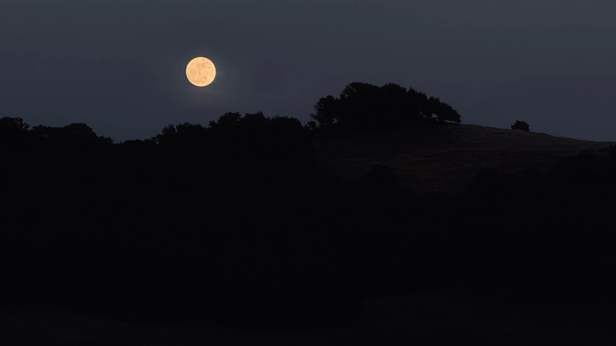      

 
   “When I was a little girl, I was fond of retreating to small spaces. My earliest extensive memory was hiding in a closet in my bedroom. I was probably about two or three. The small space felt safe from the commotion in the home. The darkn