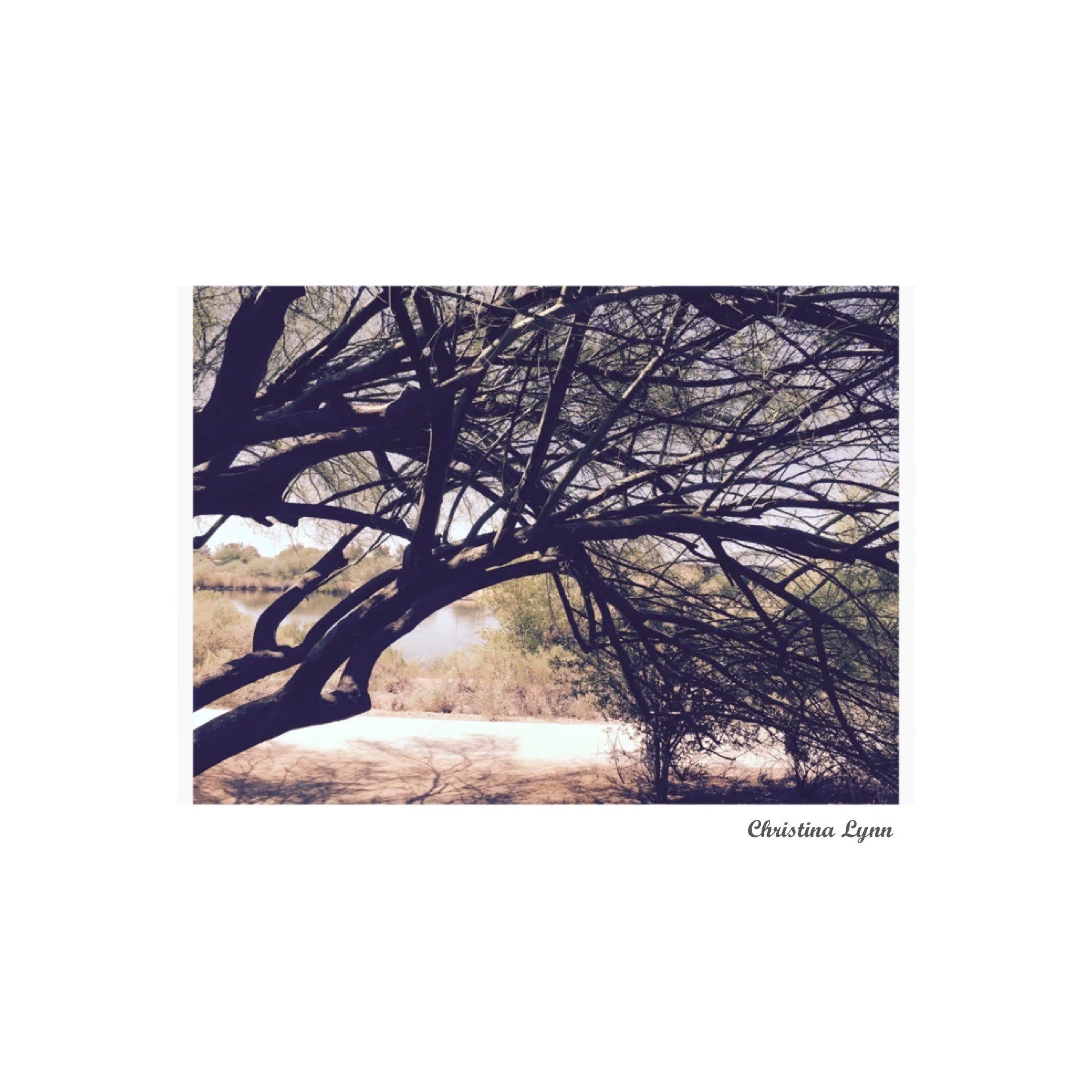 Christinalynn_tree_WM.jpg