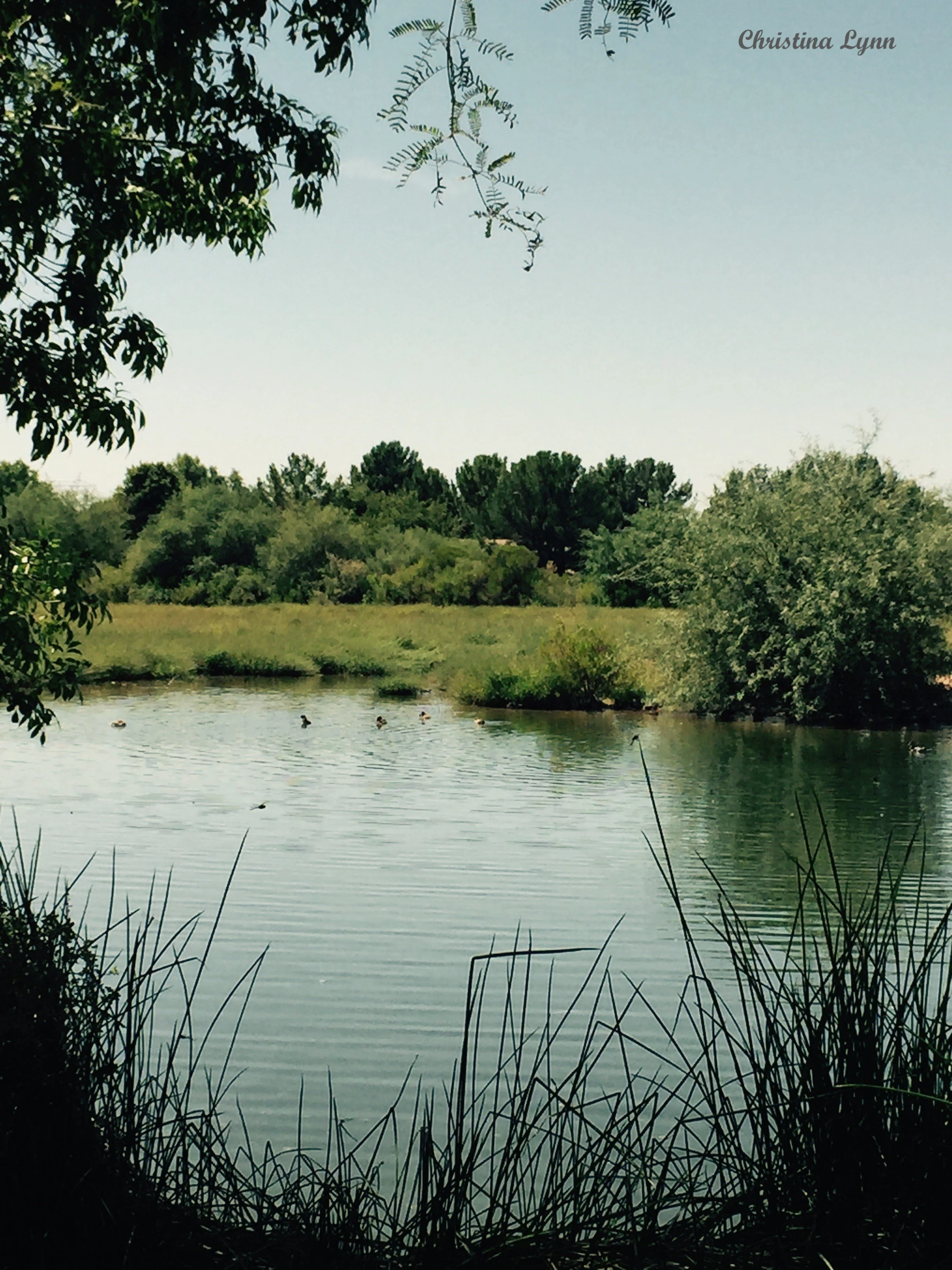 Christinalynn_pond_WM.jpg