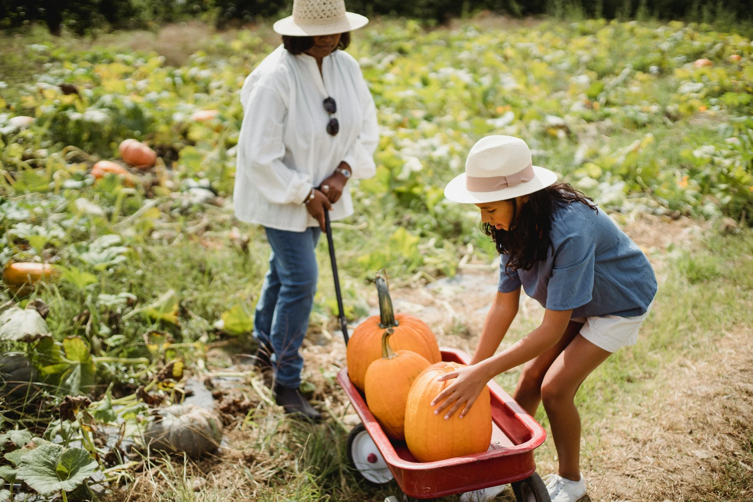 Sustainable Agriculture and Youth Education: From Farm to Table