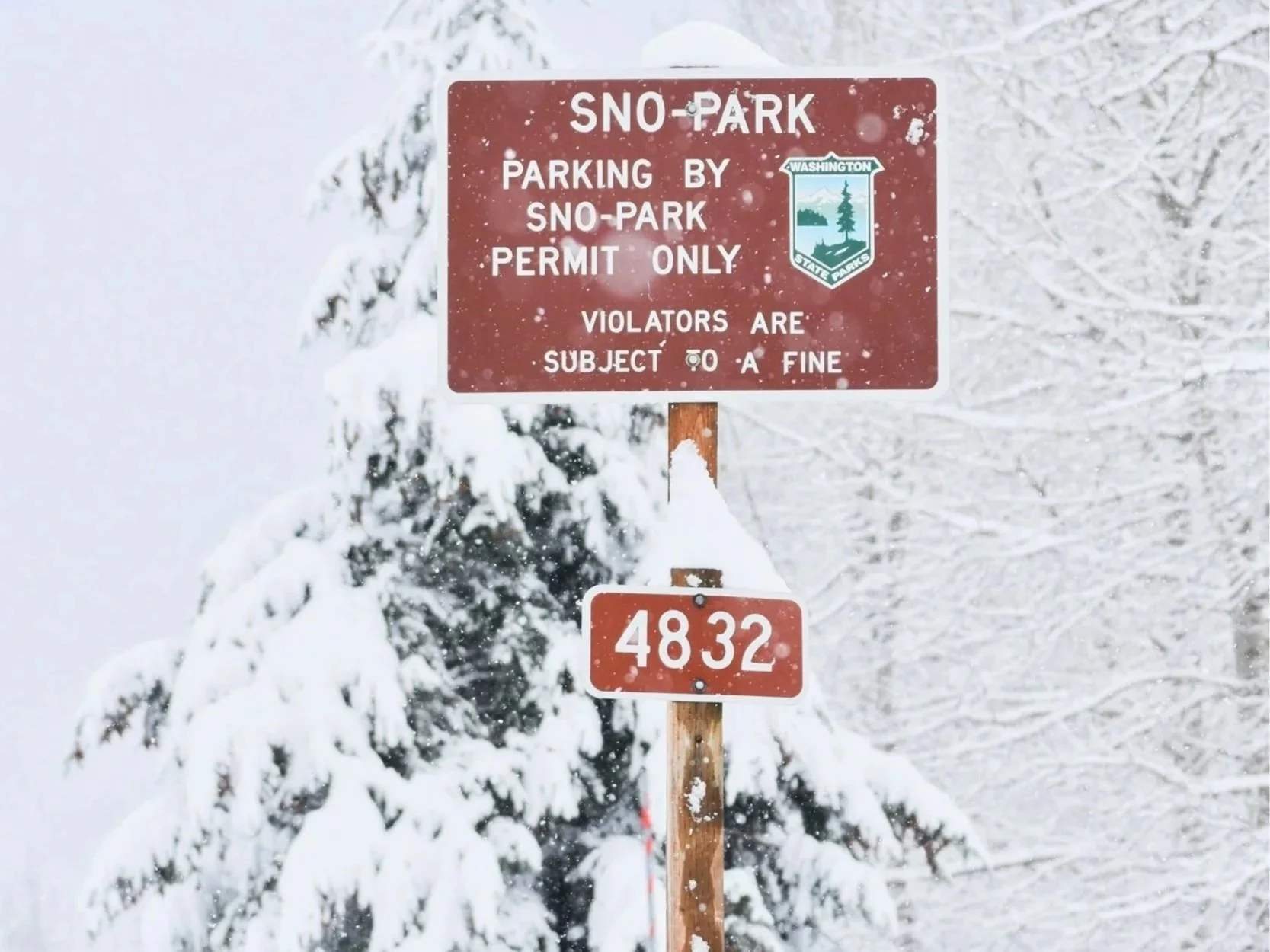 How Sno-Parks Make Snow Play Possible for Central Valley Families