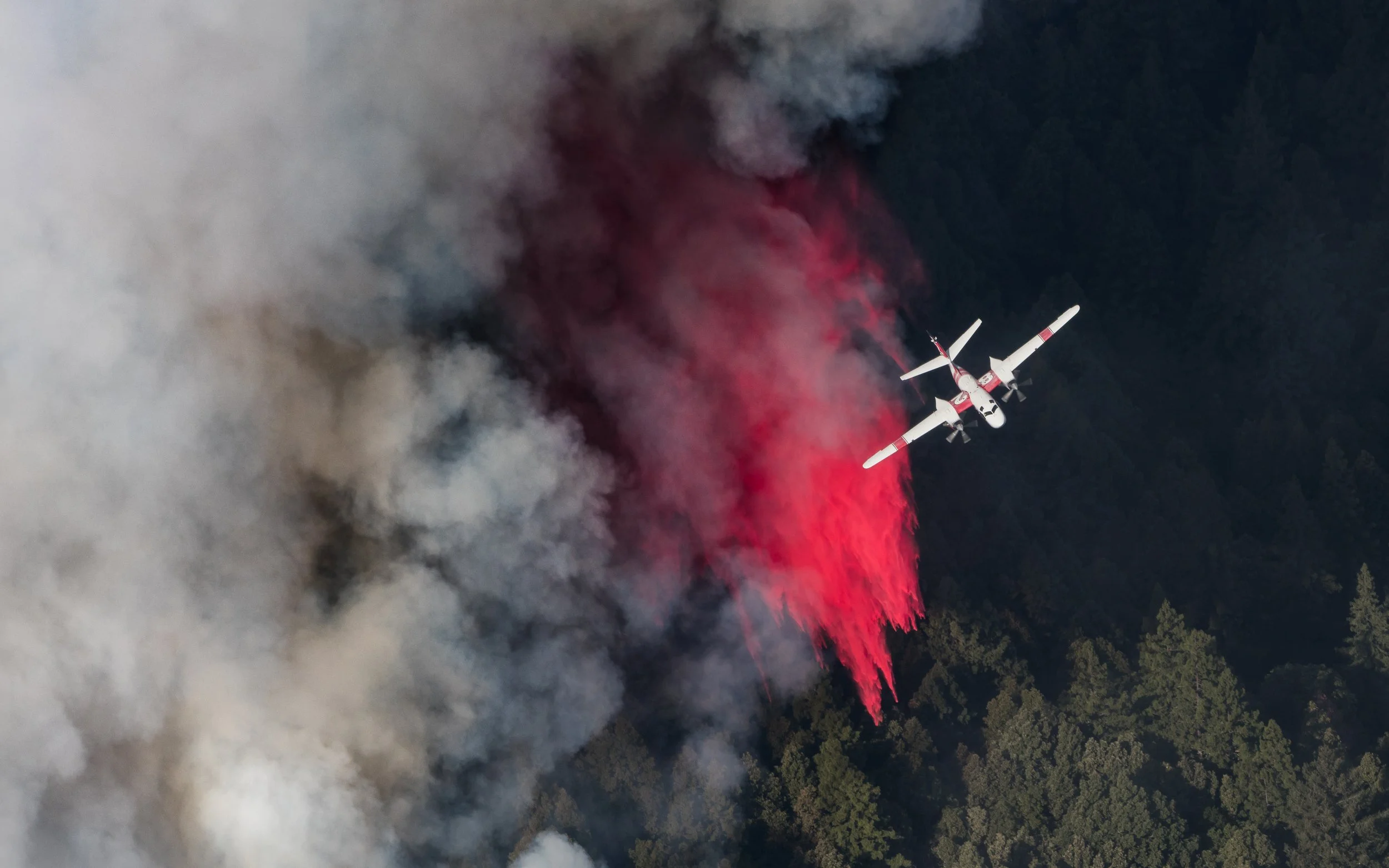 FREE ARTICLE - Cal Fire: Into the Inferno