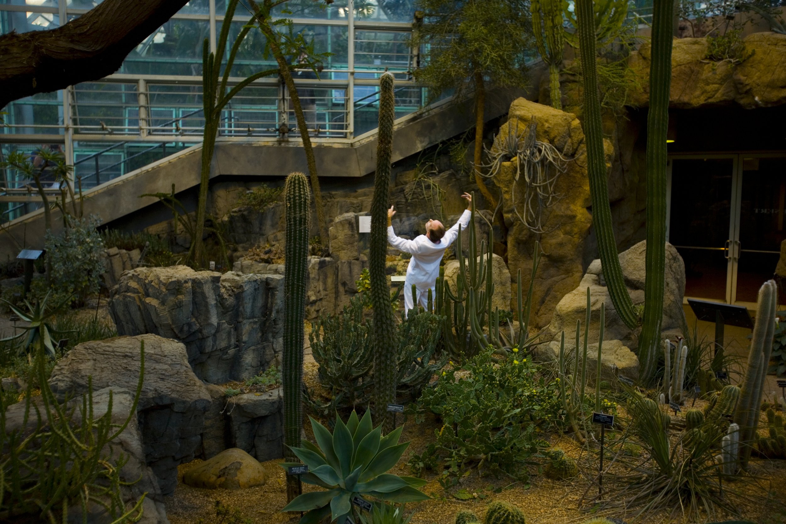 A performer in a white suit opens his arms to the sky inside of a cactus garden glass atrium. Photo by Kevin Kwan.