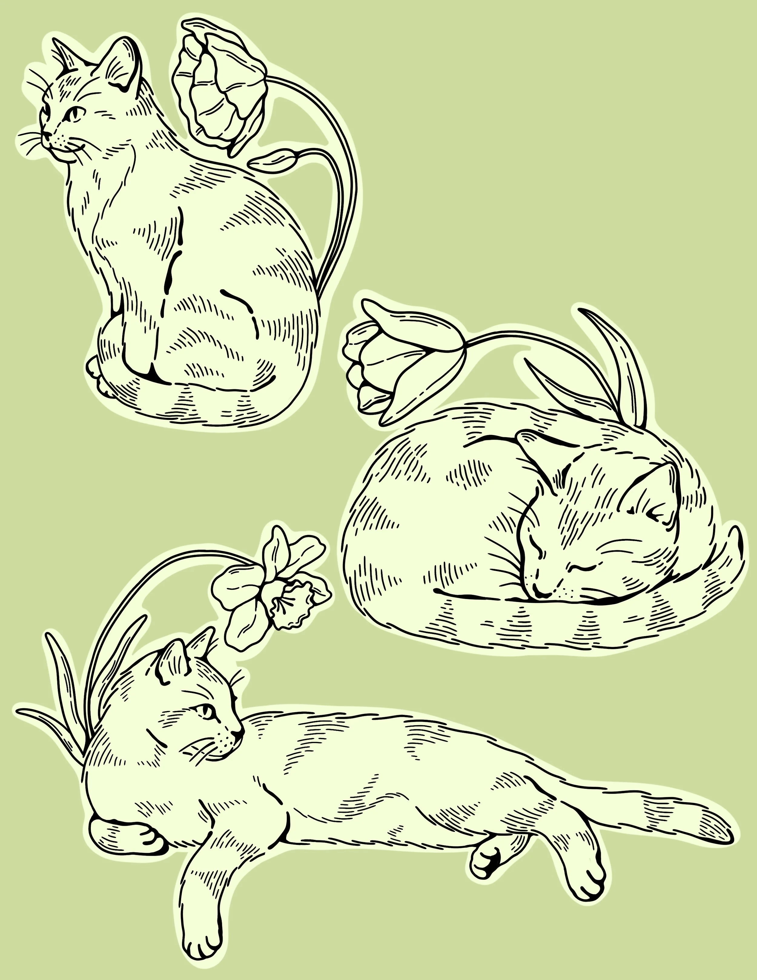 Untitled_Artwork 34.JPG