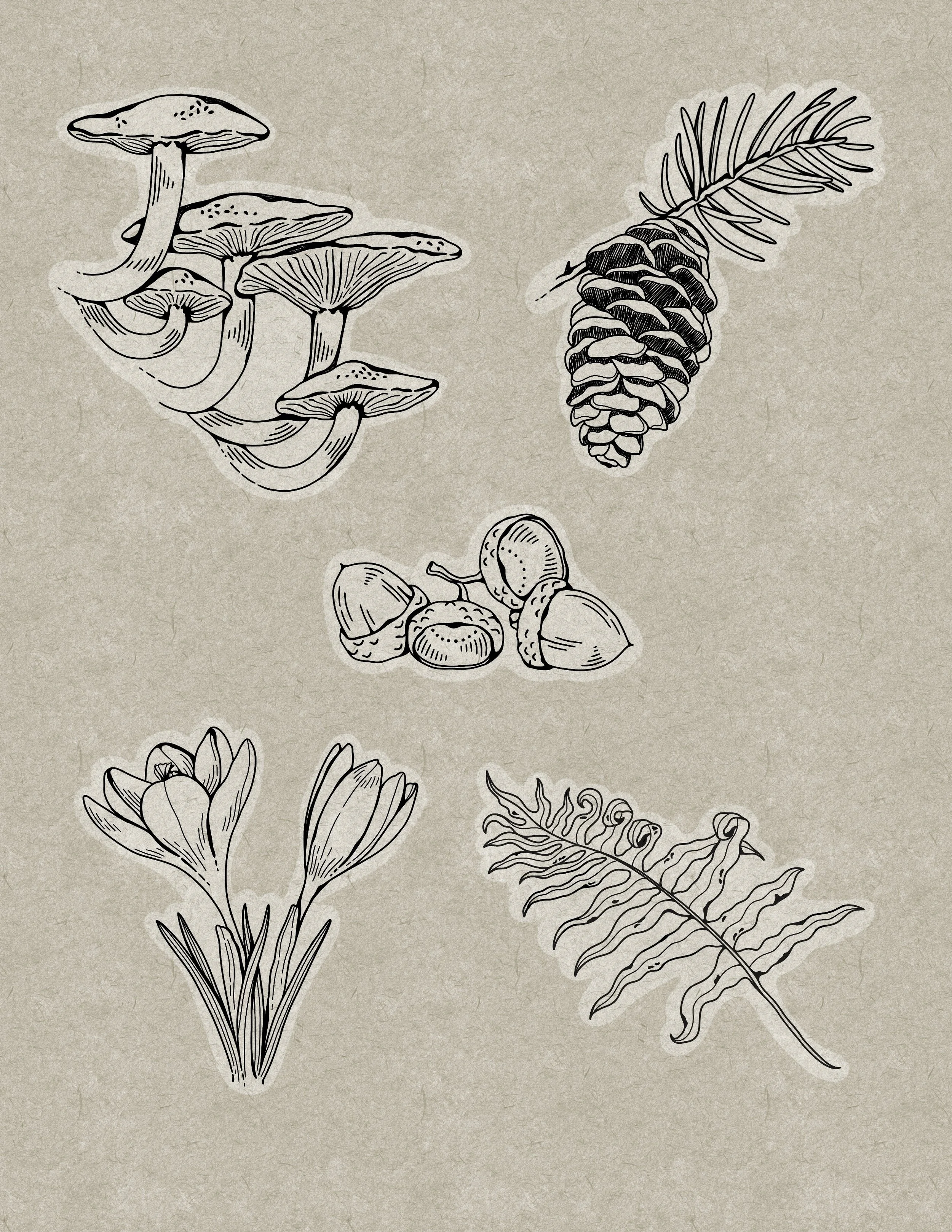 Untitled_Artwork 24.JPG