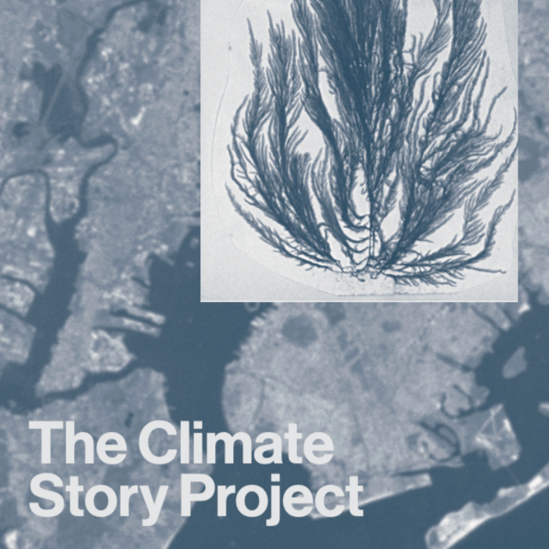 The Climate Story project with The New York Climate Exchange
