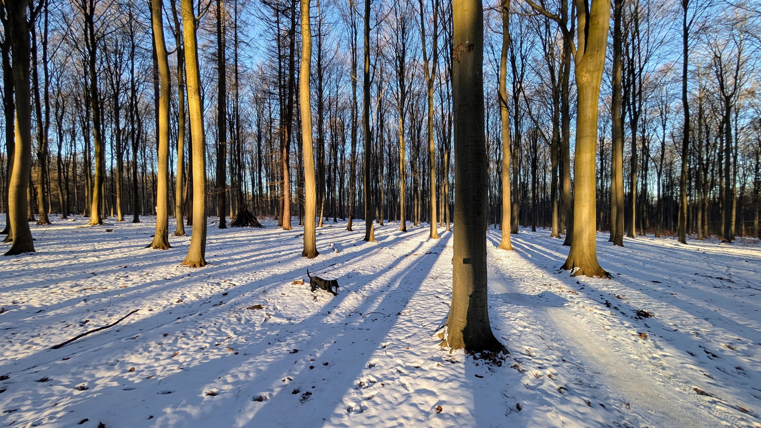 Why January is for letting go, not fixing.