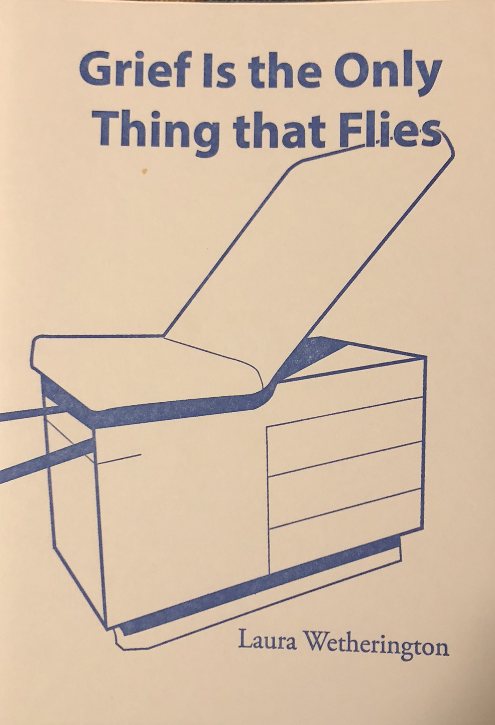 Grief is the Only Thing that Flies