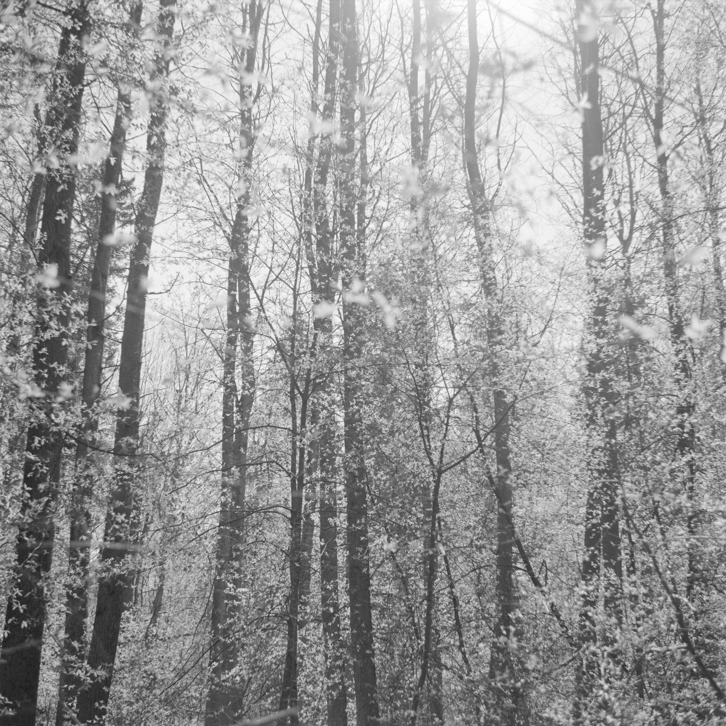 If There Be Paradise 15 by Juho Rahikka