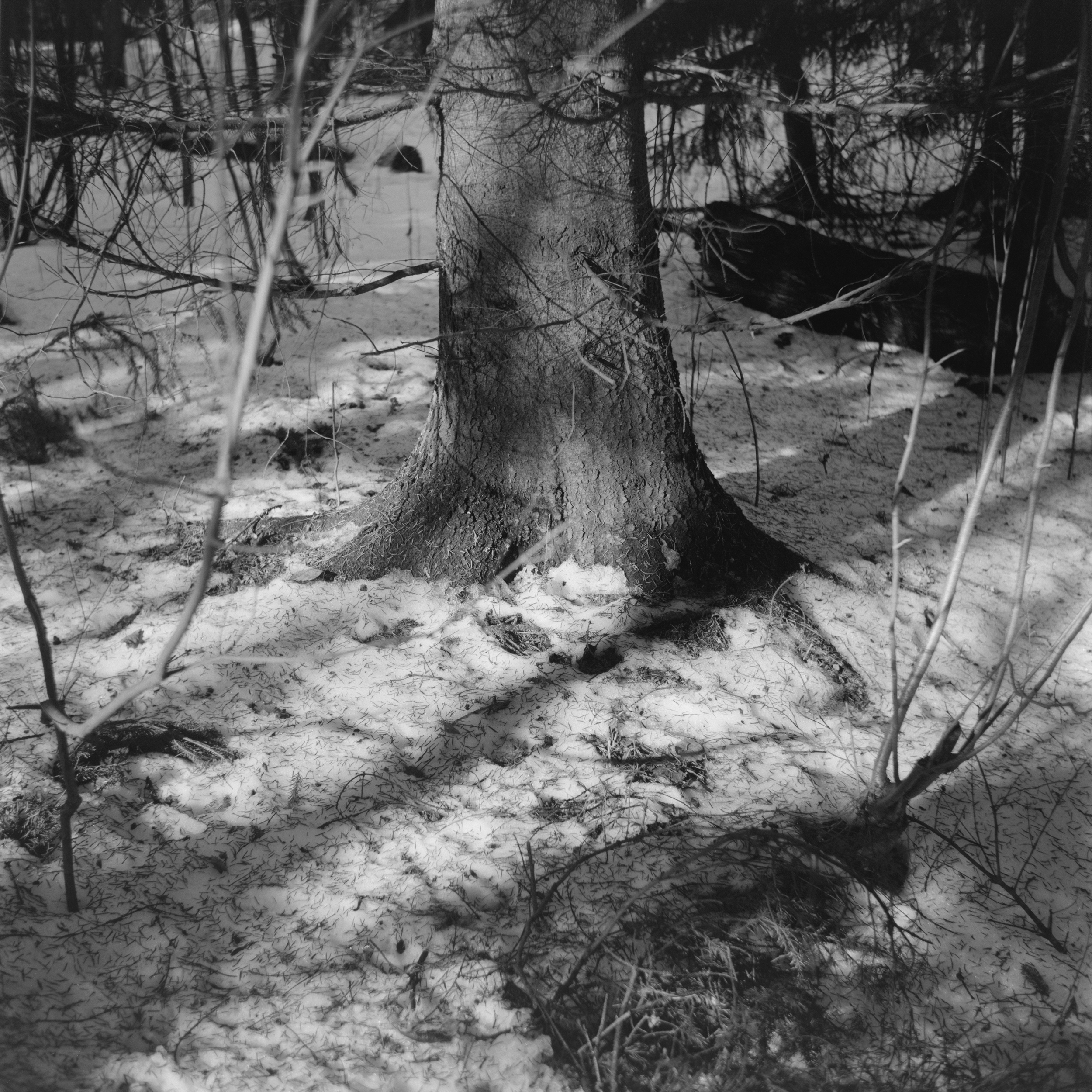 If There Be Paradise 8 by Juho Rahikka