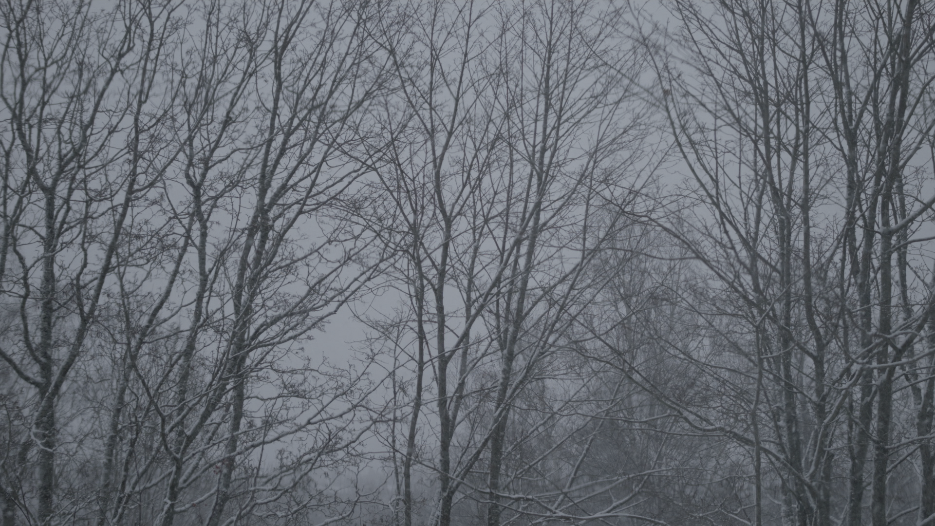 THE LAND THAT IS NOT