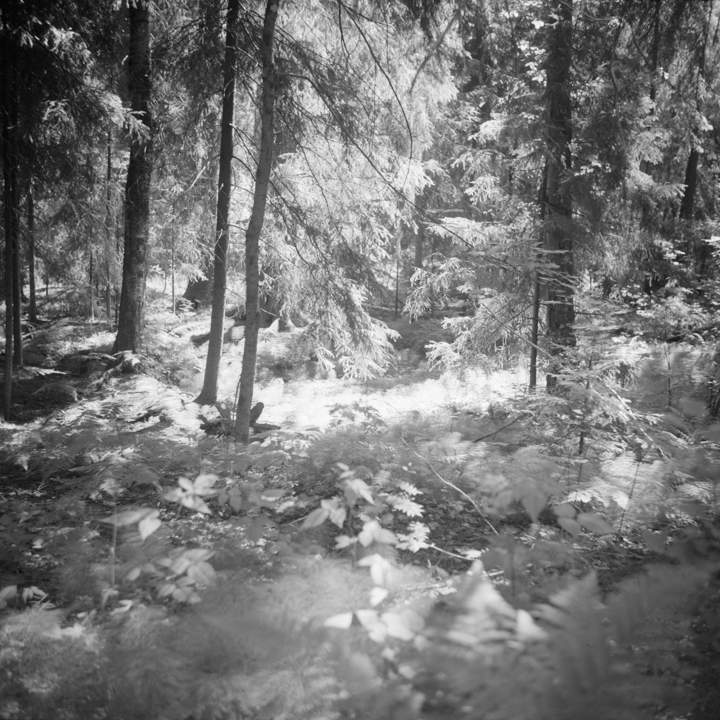 If There Be Paradise 20 by Juho Rahikka