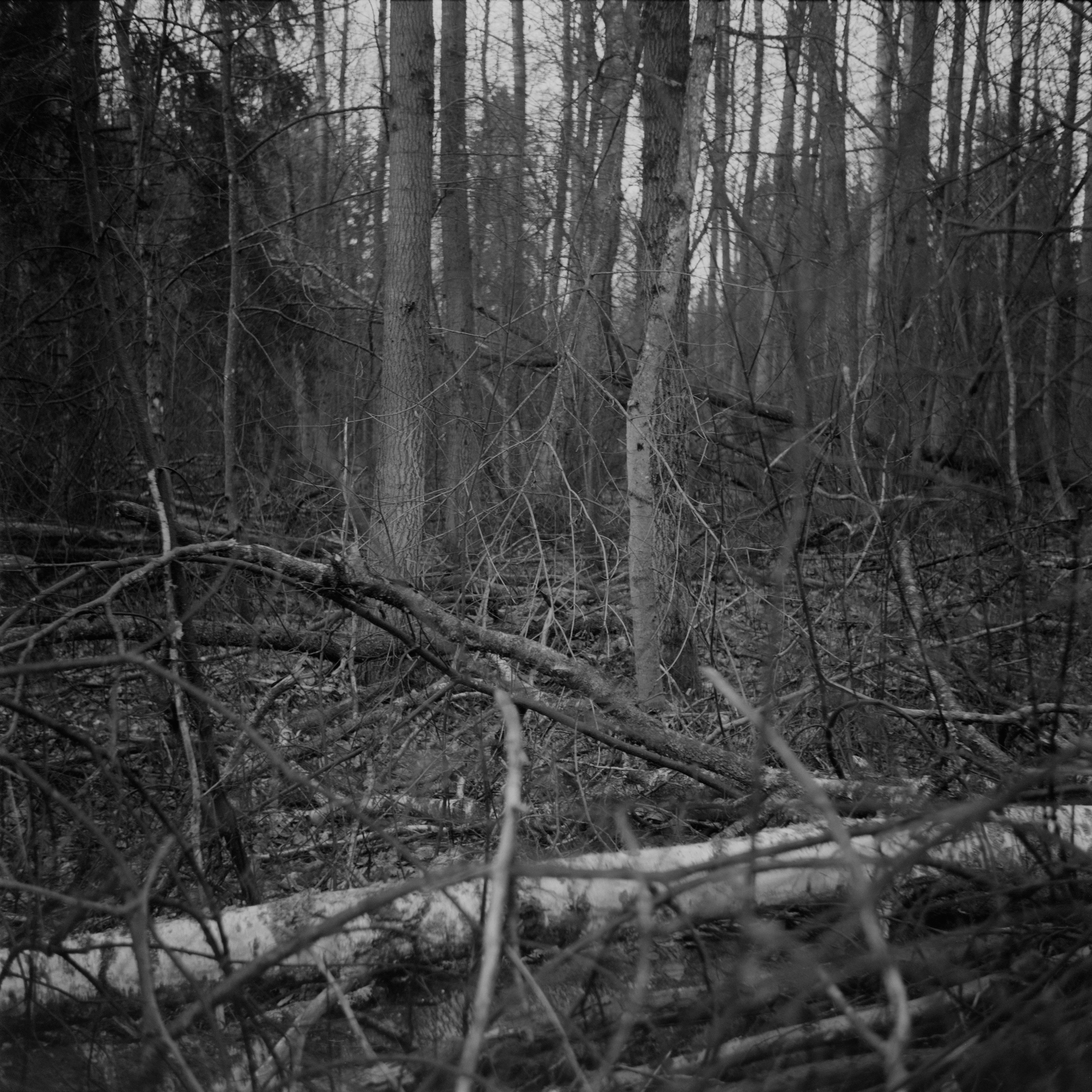 If There Be Paradise 3 by Juho Rahikka