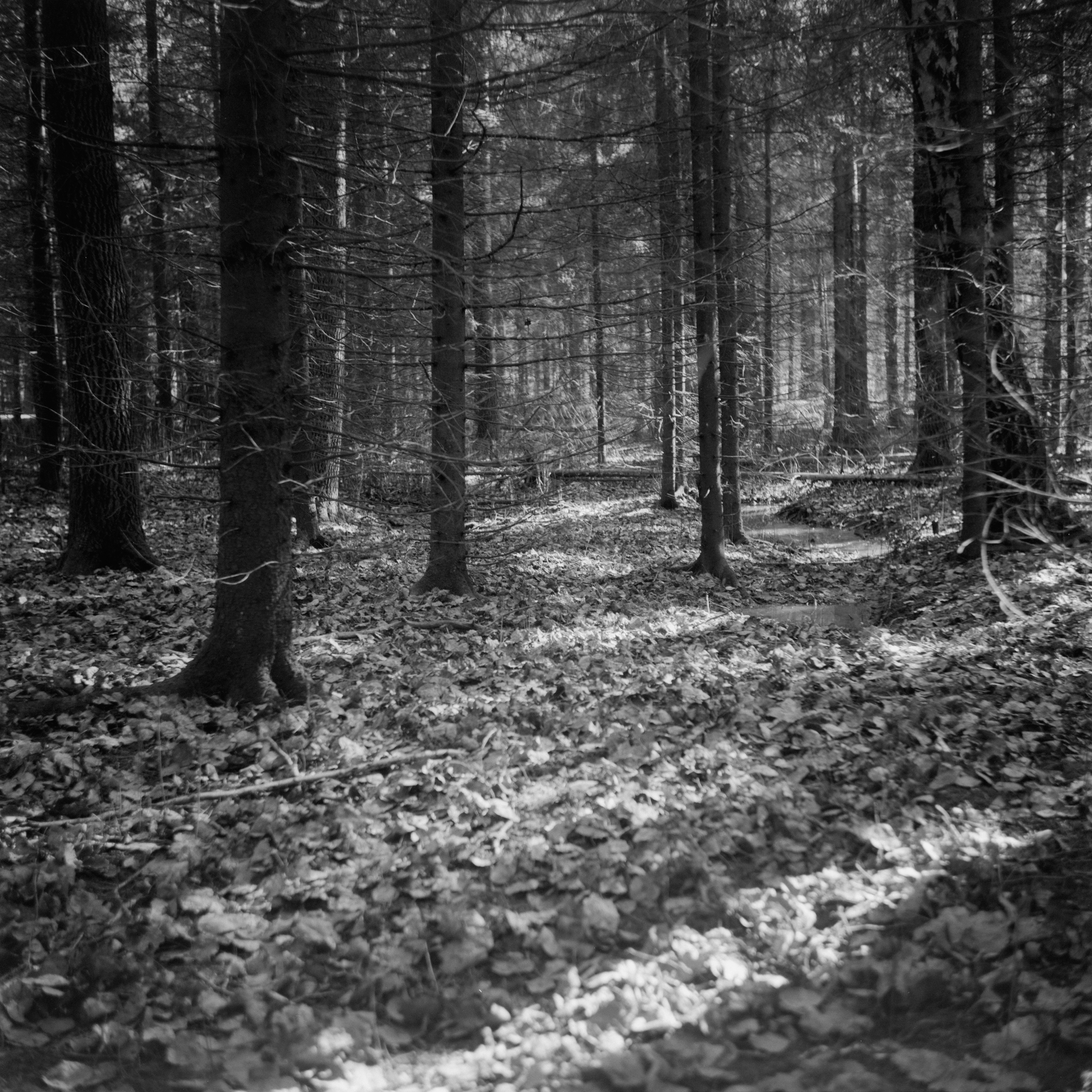 If There Be Paradise 10 by Juho Rahikka