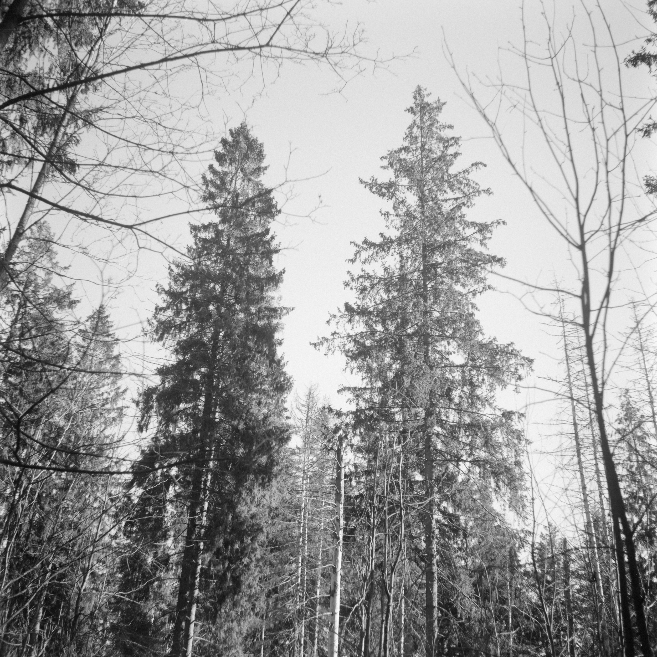 If There Be Paradise 9 by Juho Rahikka