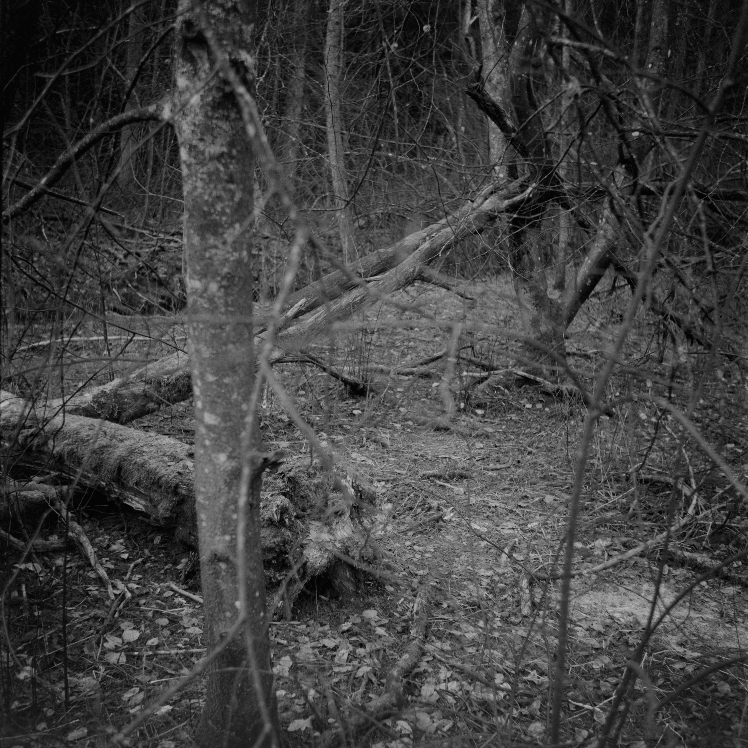 If There Be Paradise 2 by Juho Rahikka