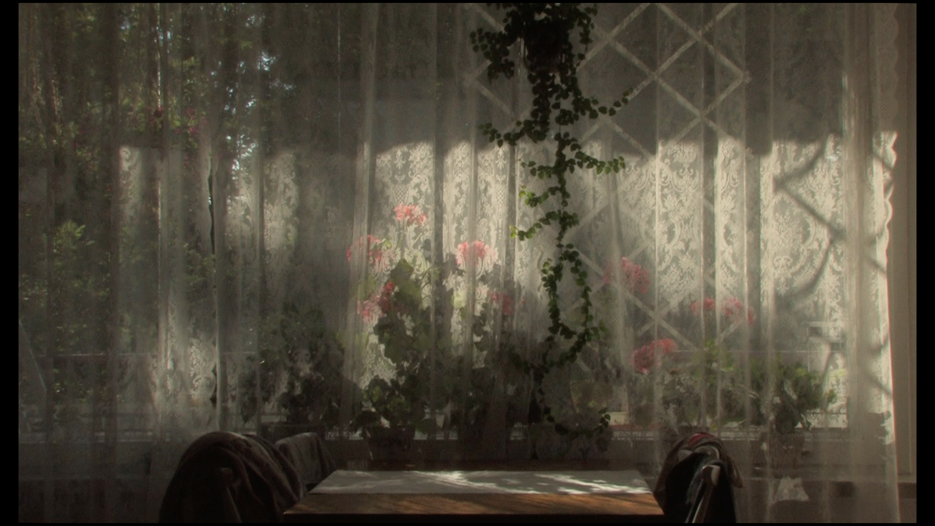 HOW RED WERE THE ROSES