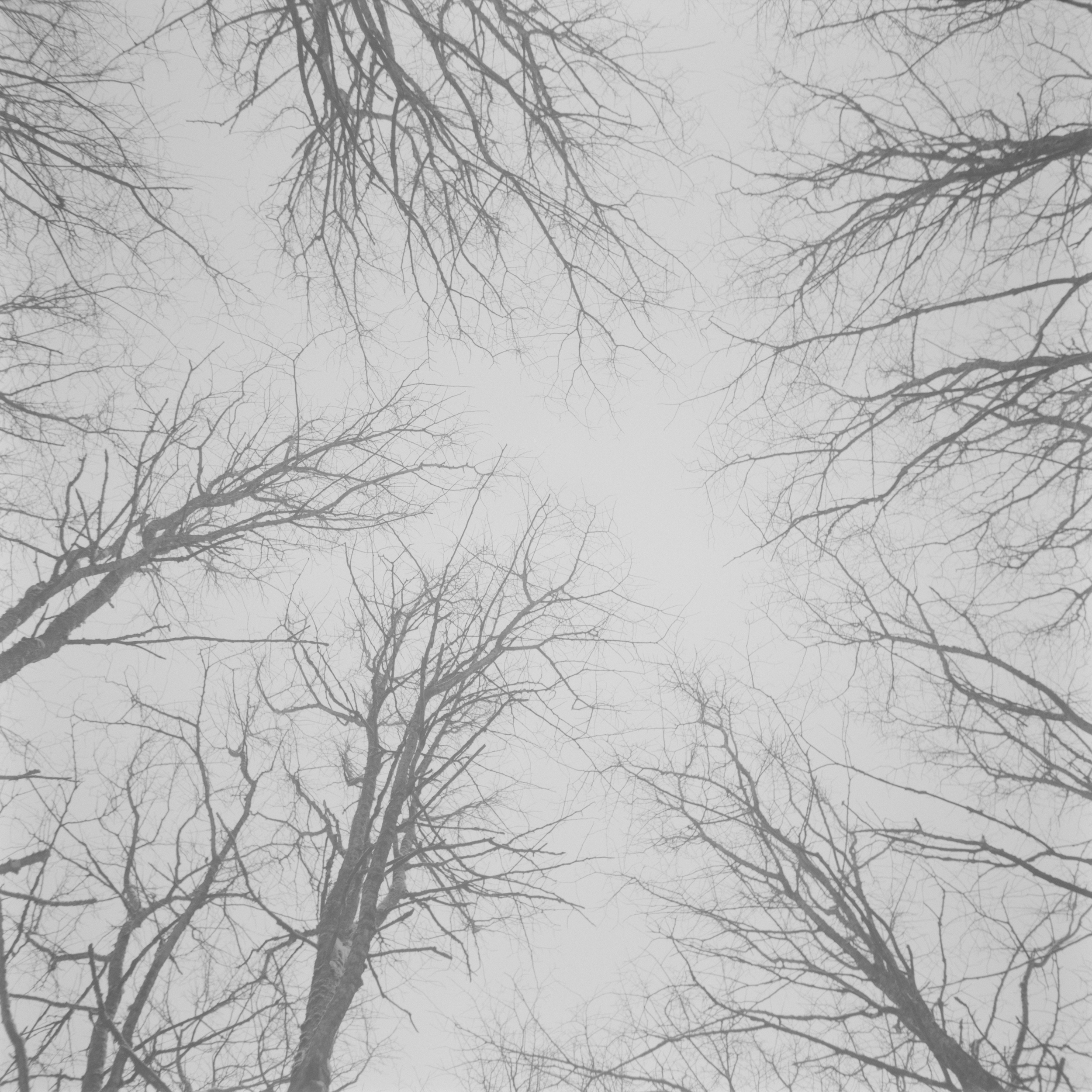 If There Be Paradise 6 by Juho Rahikka