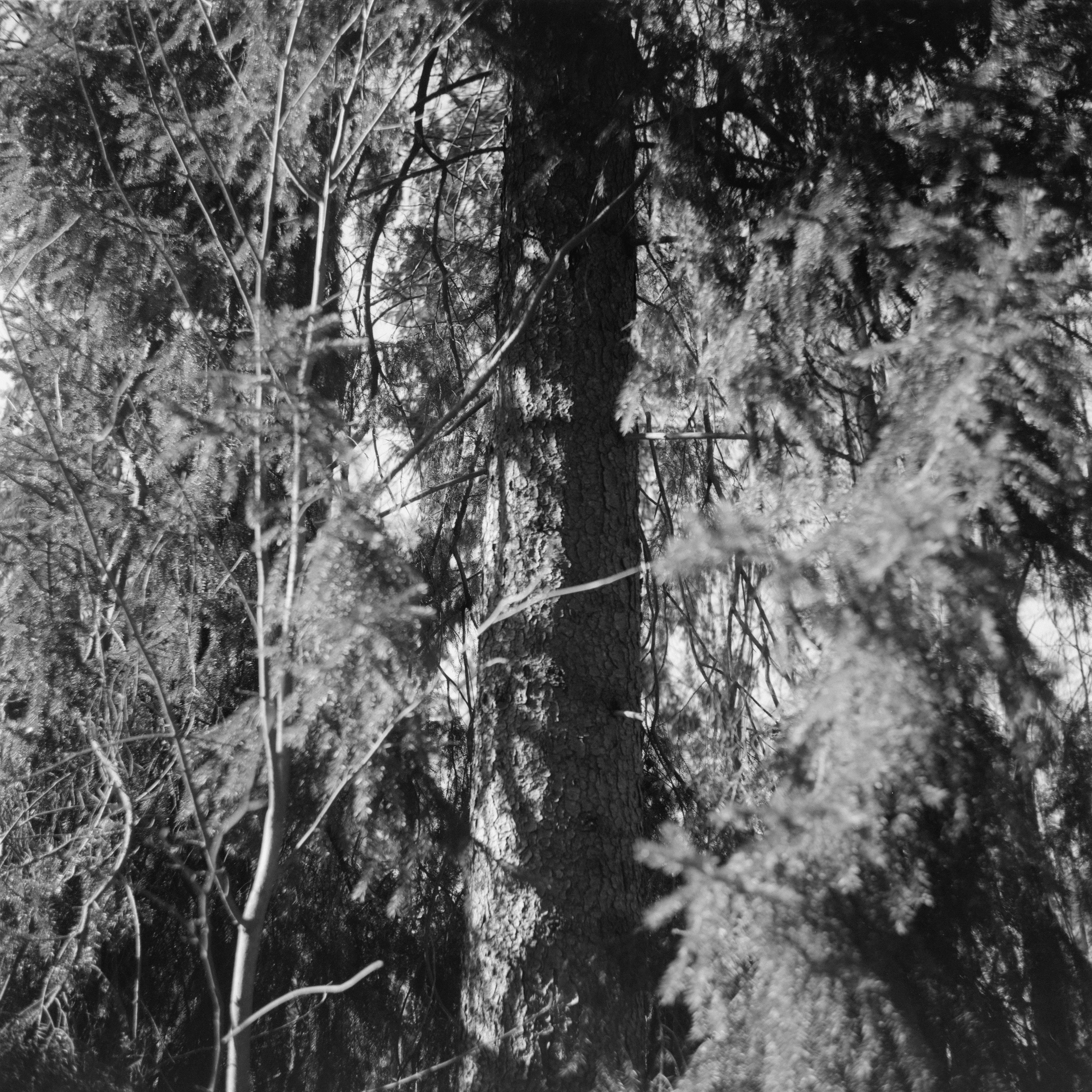 If There Be Paradise 11 by Juho Rahikka