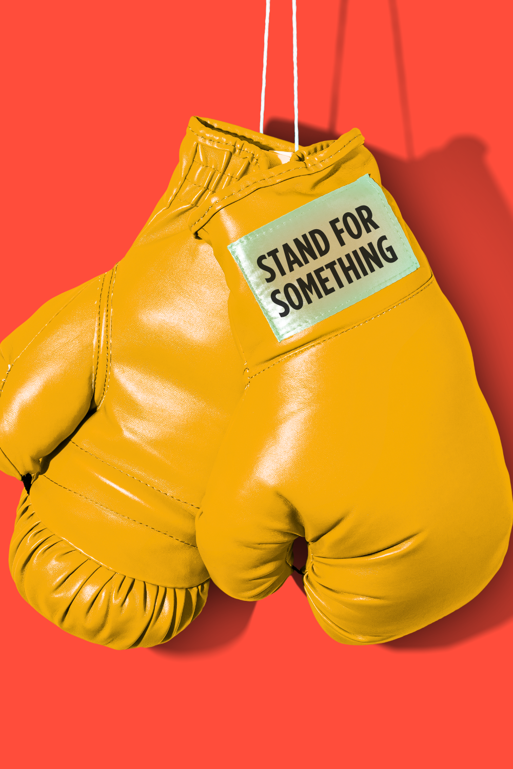 Shamblen Studios Canva Template boxing gloves_7.png