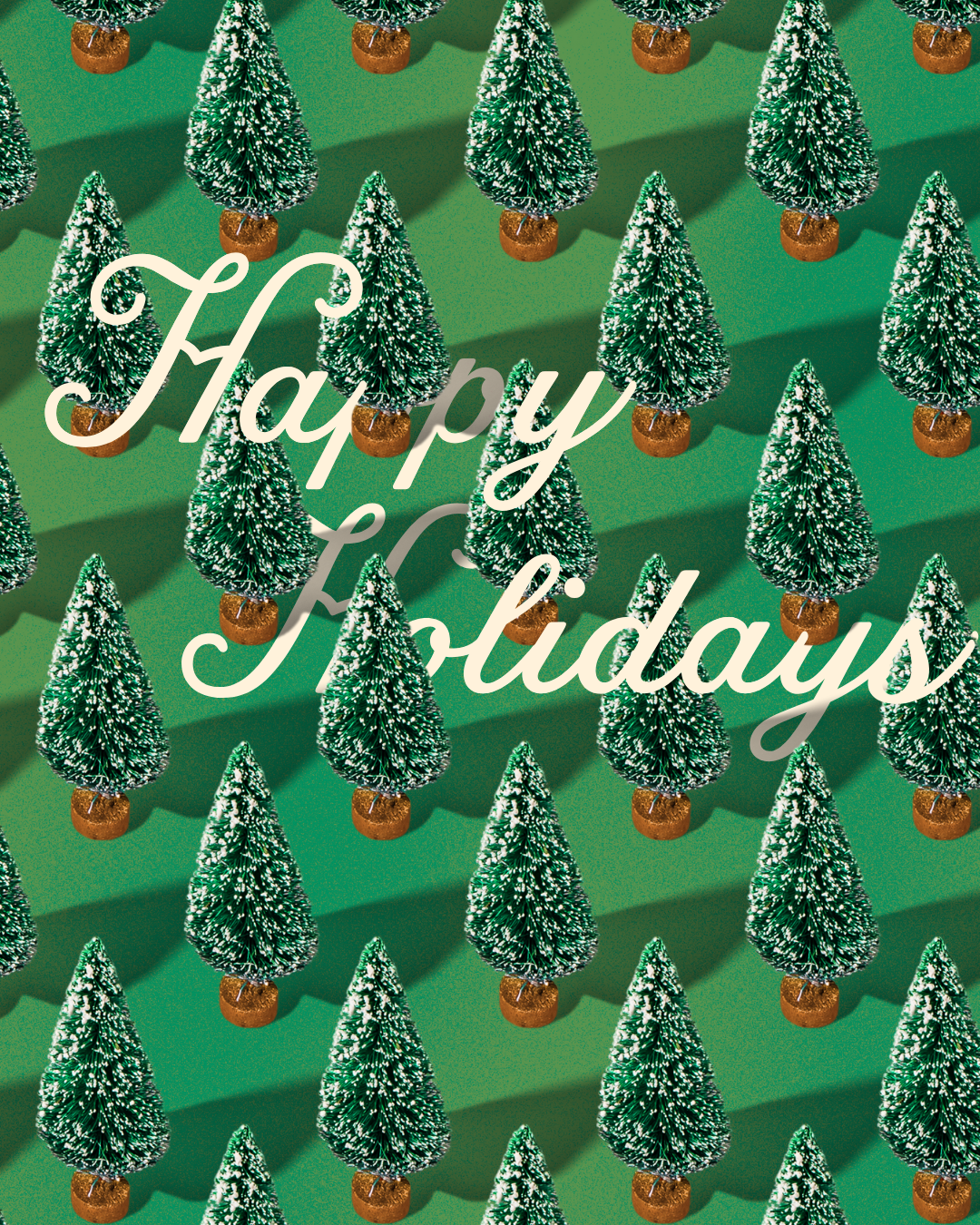 Bottle Brush Trees Background