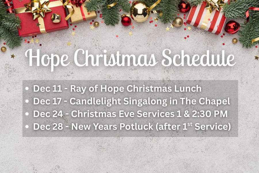 Christmas Schedule 2025 (3 x 2 in) (2).png