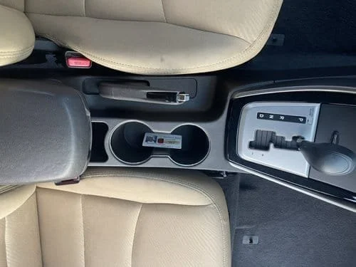 Blood, Urine, And Fecal Matter Spot Cleaning: Keeping Your Vehicle Fresh and Clean.