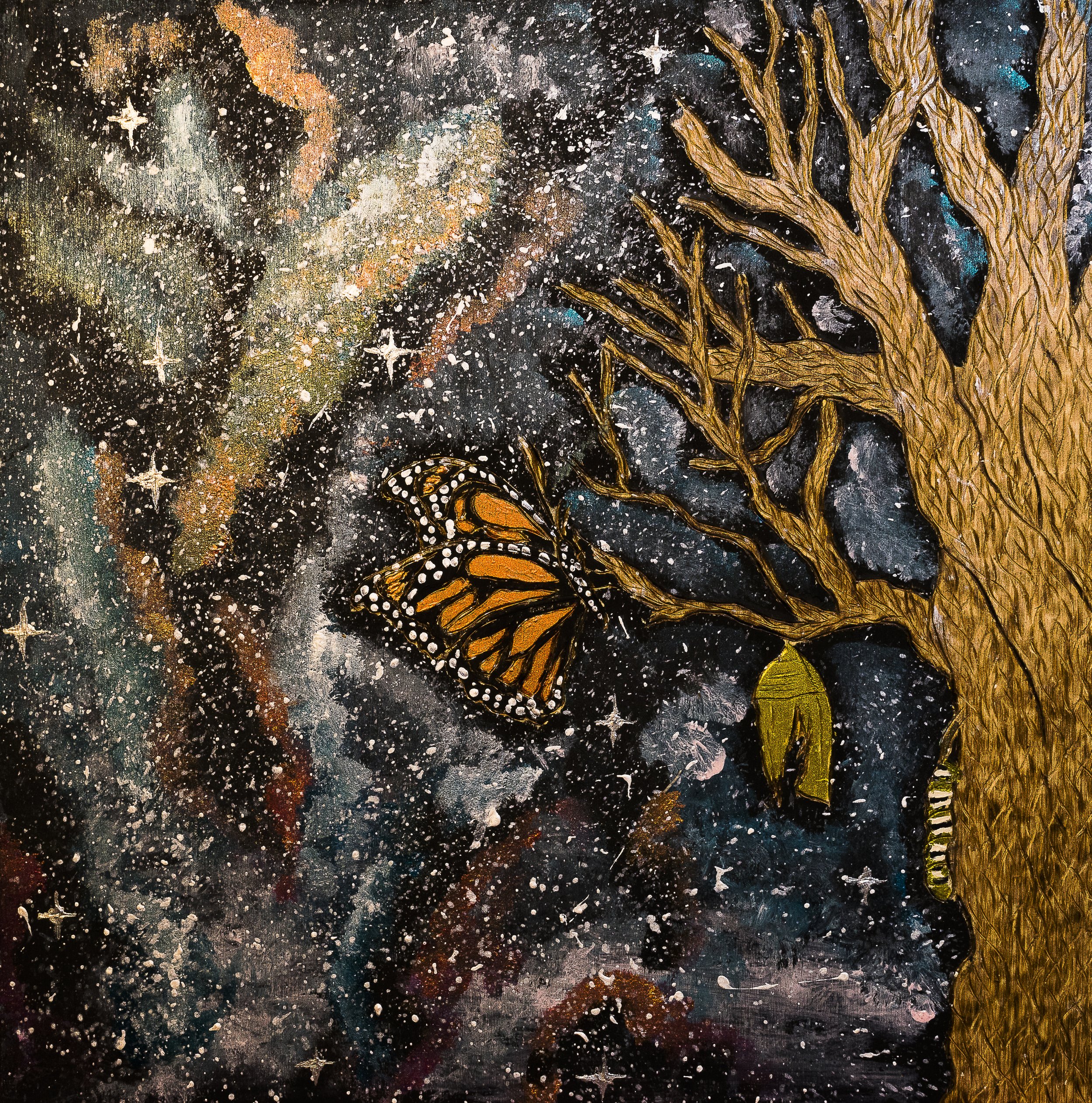 butterfly.jpg