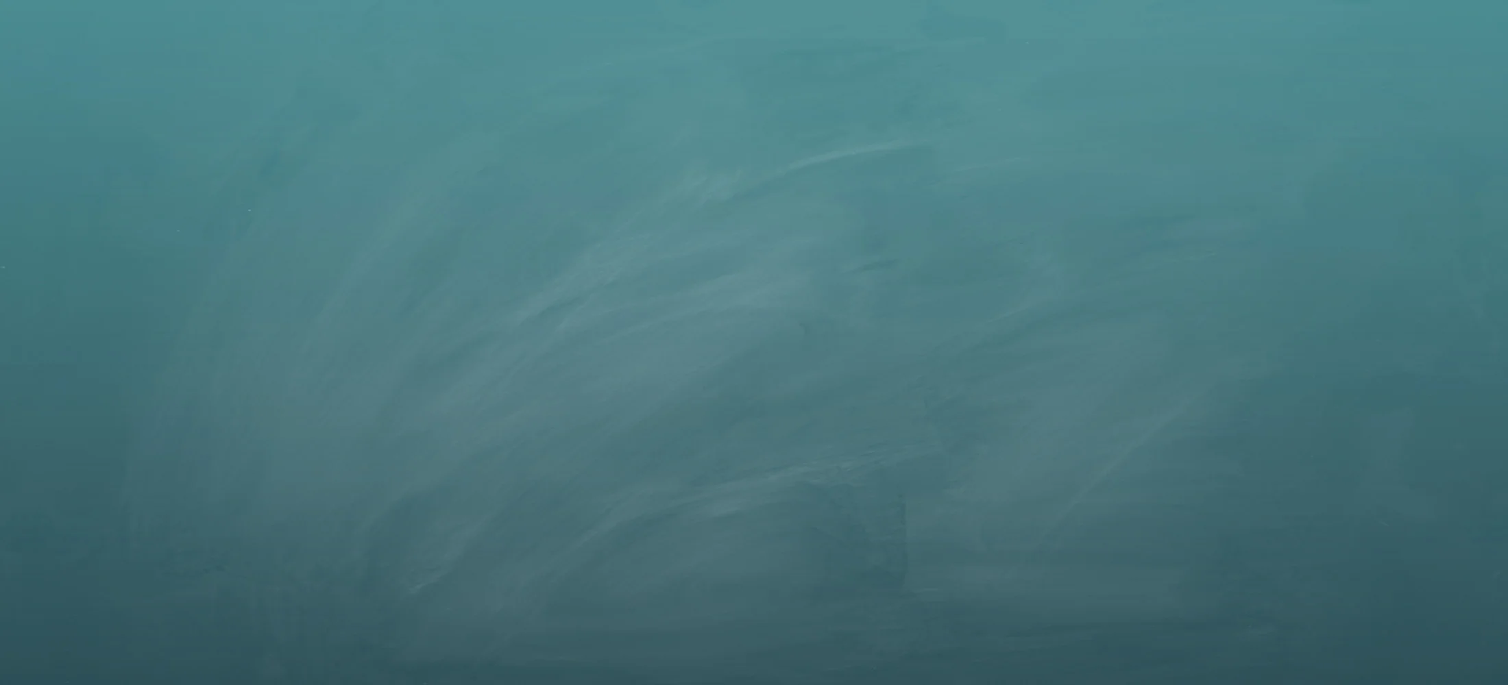 Header_Plain.jpg