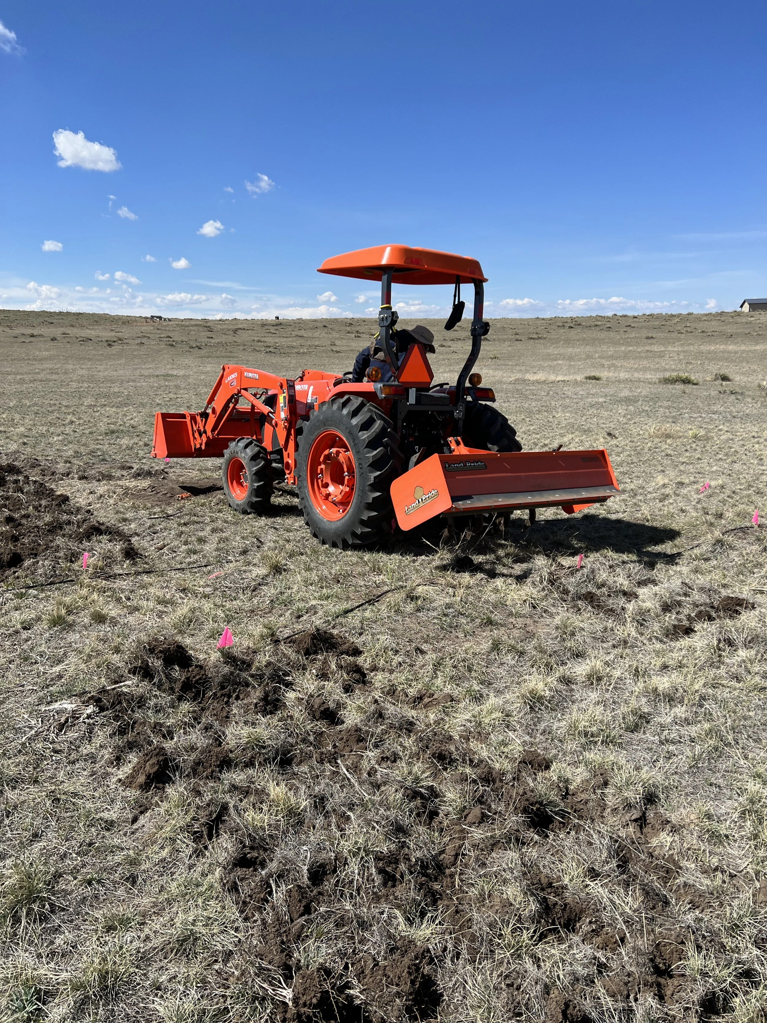Winter is The Best Time To Start A Garden!
