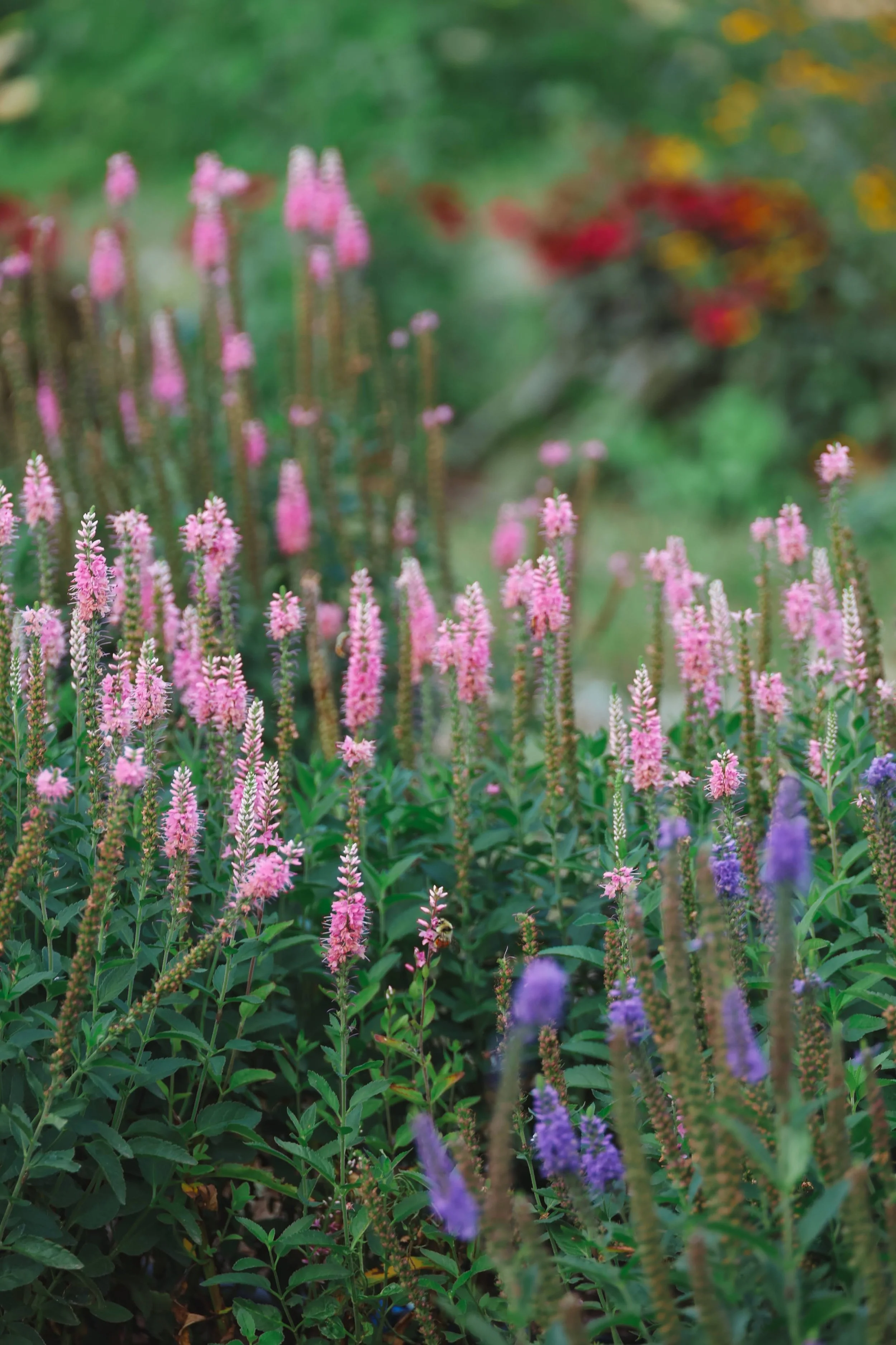 Eve Was A Gardener Too