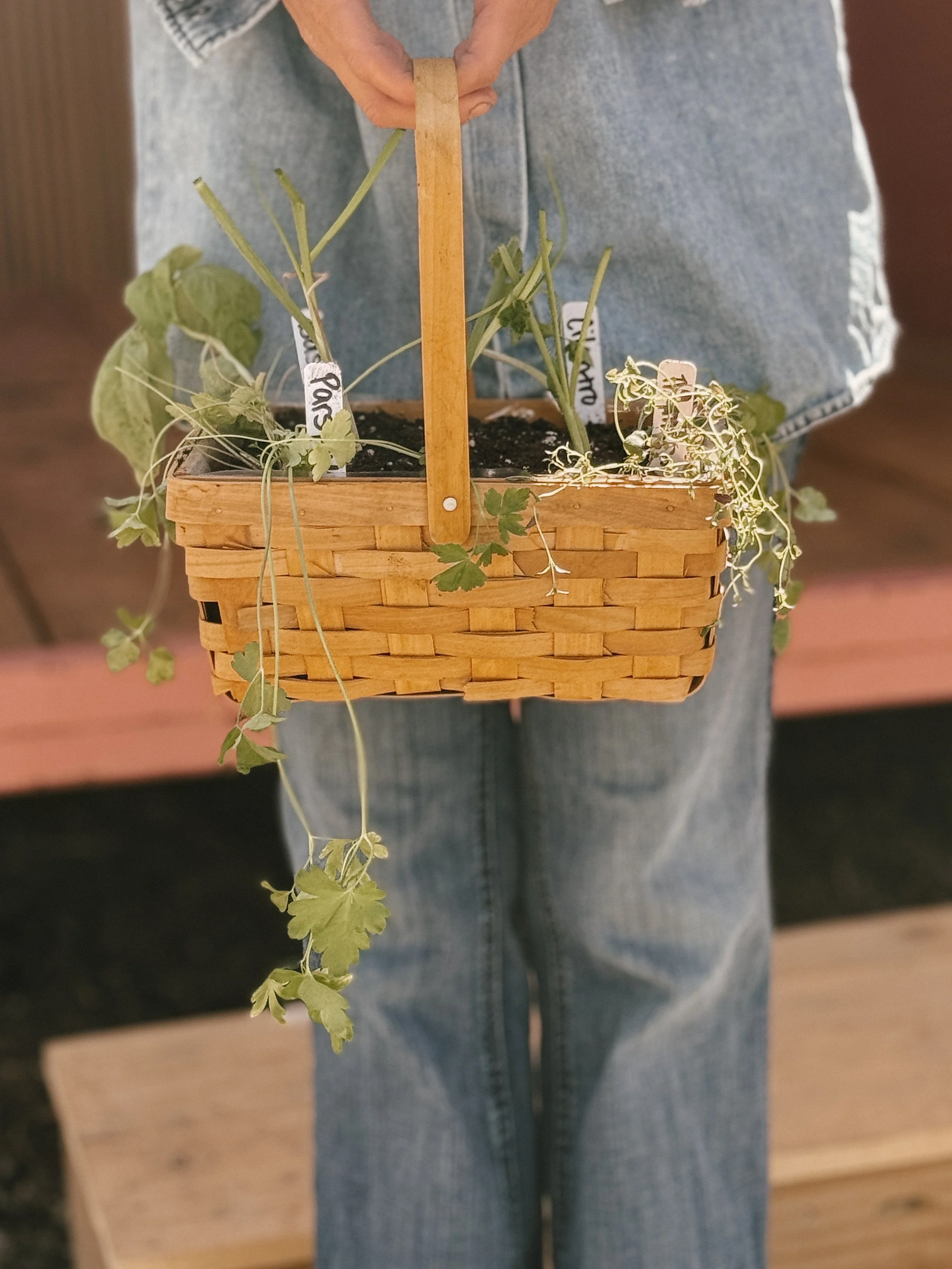 Who Is Growing In Your Garden?