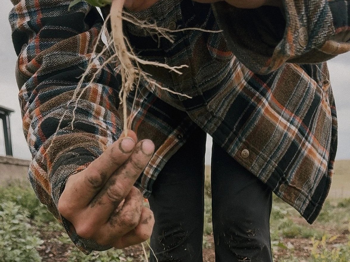 Tending The Weeds Of Your Garden