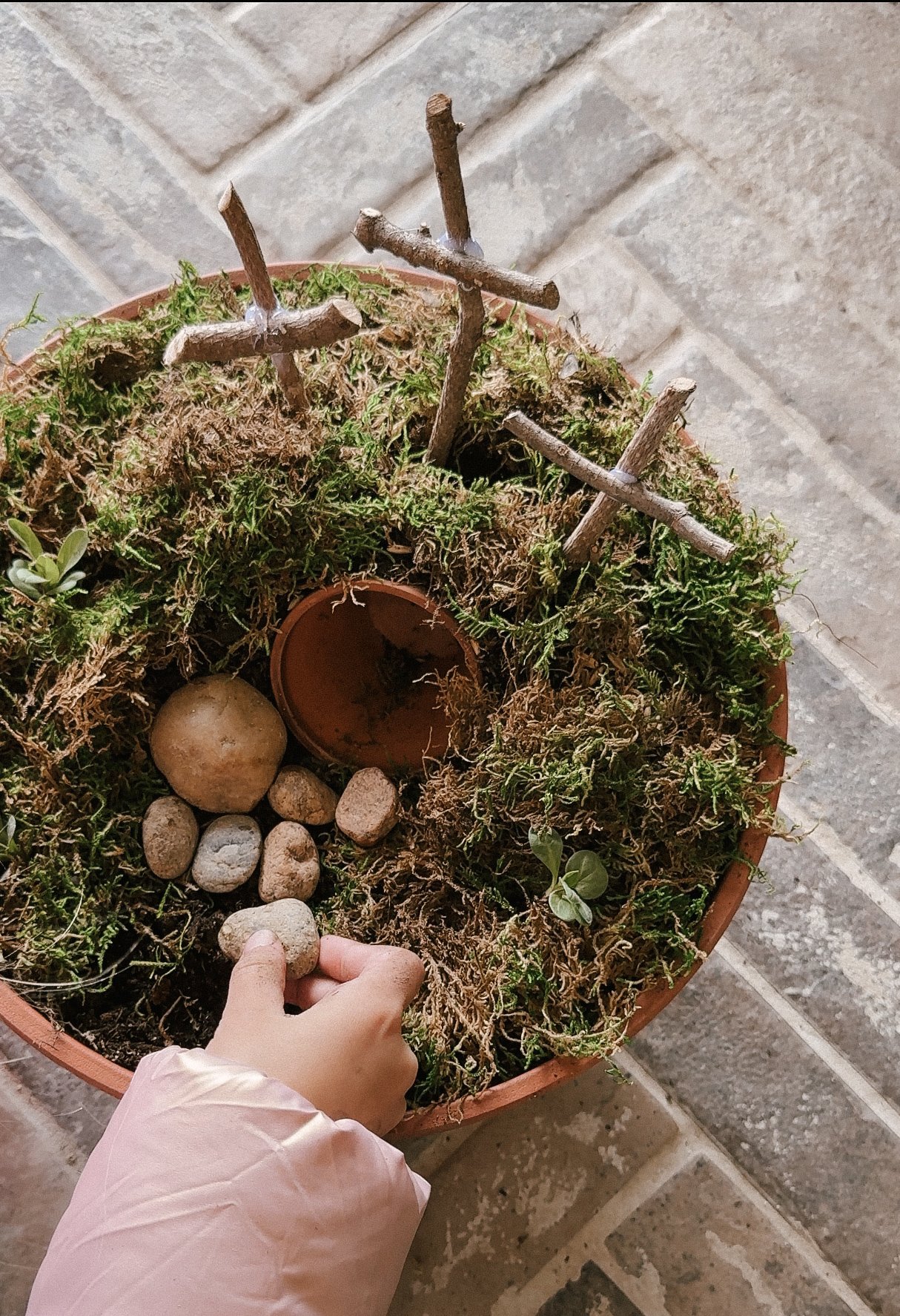 Resurrection Garden Kit