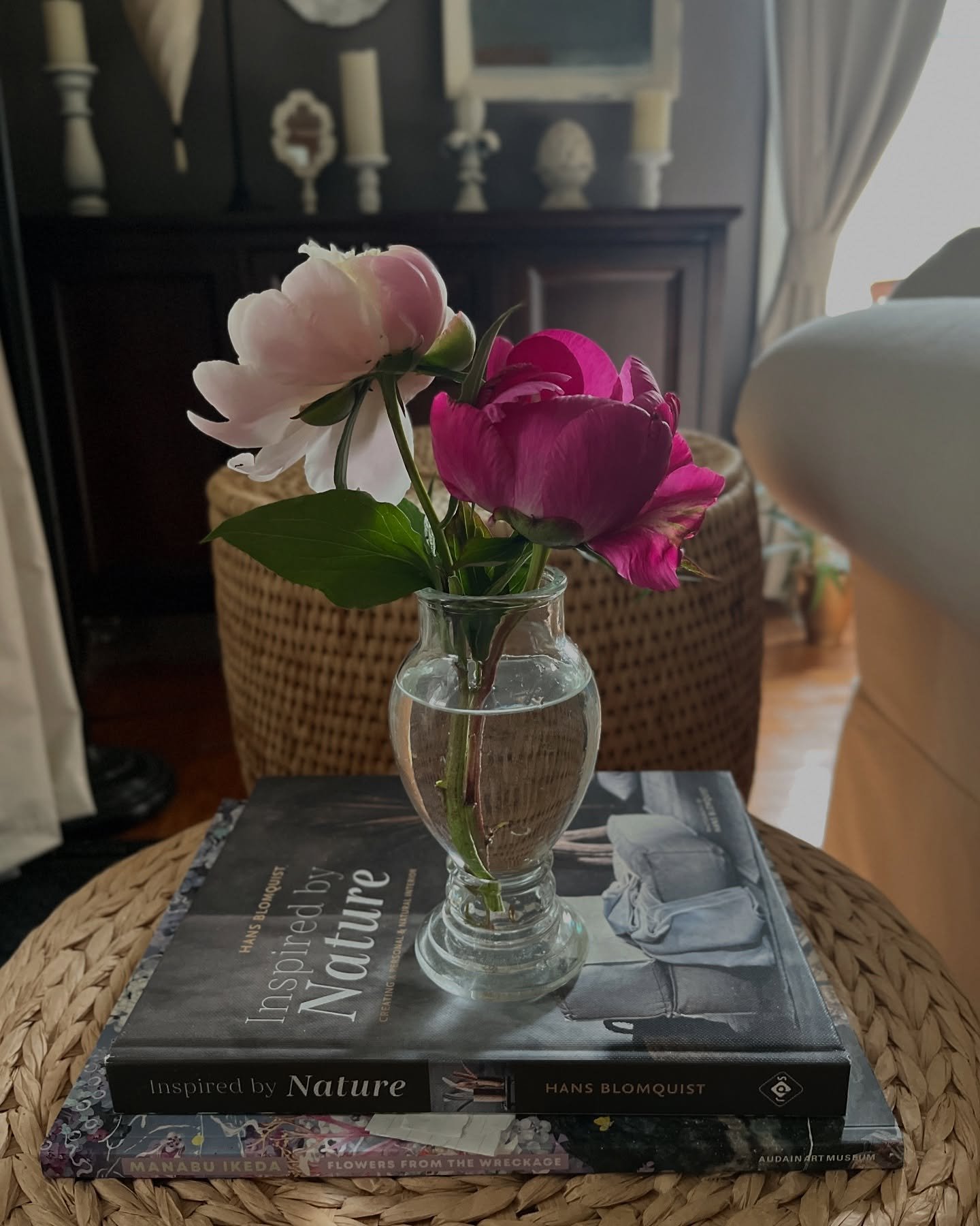 This is the first time in 8 years my peonies have bloomed thanks to a tree dying in my front yard, giving them more sun. The first blossoms appeared this morning as we are expecting a thunderstorm this afternoon. Knowing these pretties aren&rsquo;t a