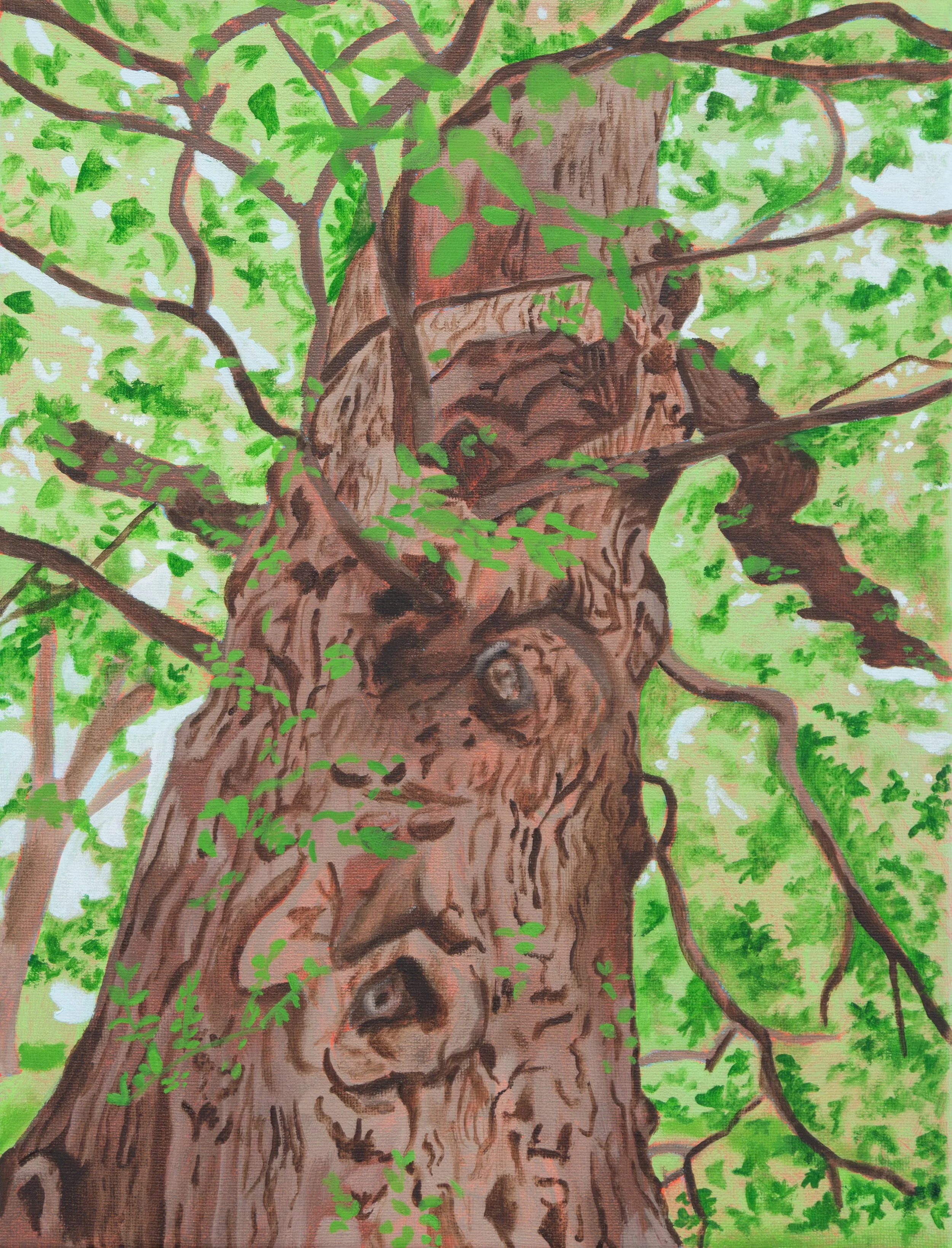 Central Park
2026
oil on canvas
11"x14"
