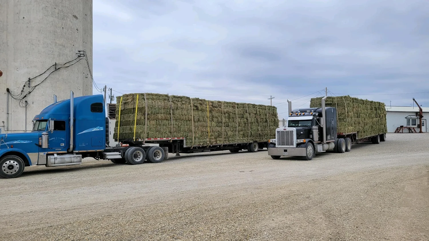 Lakey and Lakey. Hay and Feed Store located just south of Ava, Mo