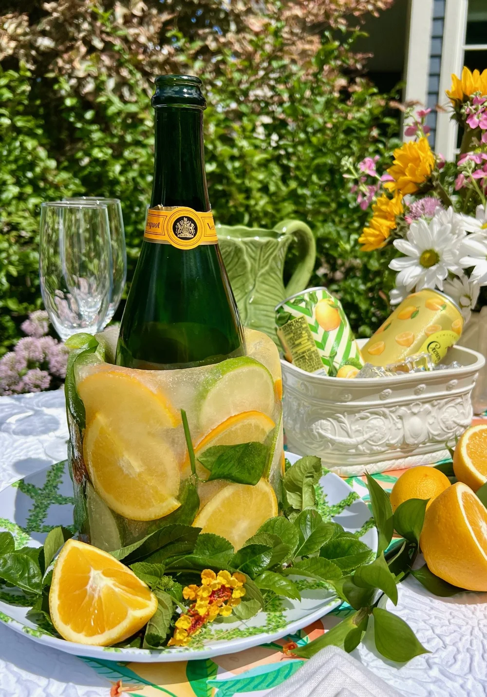 Ice Mold Bottle Chillers — Mary Alice at Home