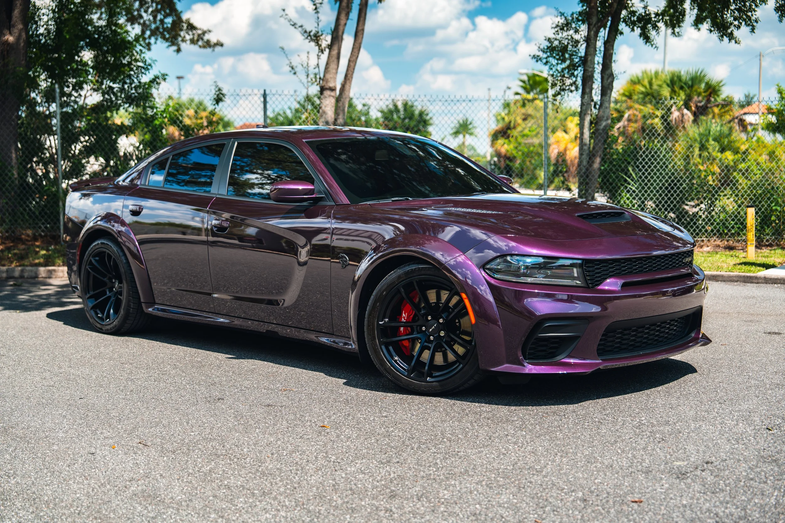 A purple sports sedan parked outdoors on a paved surface, with a chain-link fence, palm trees, and blue sky in the background.