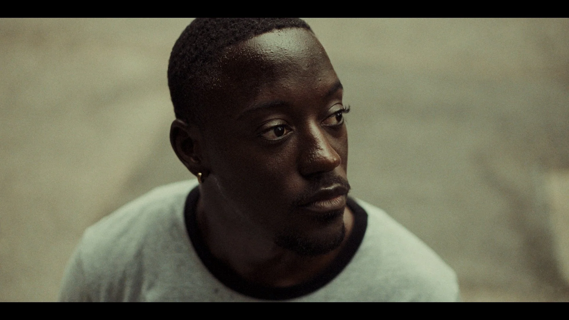 37385.0037385.jpg