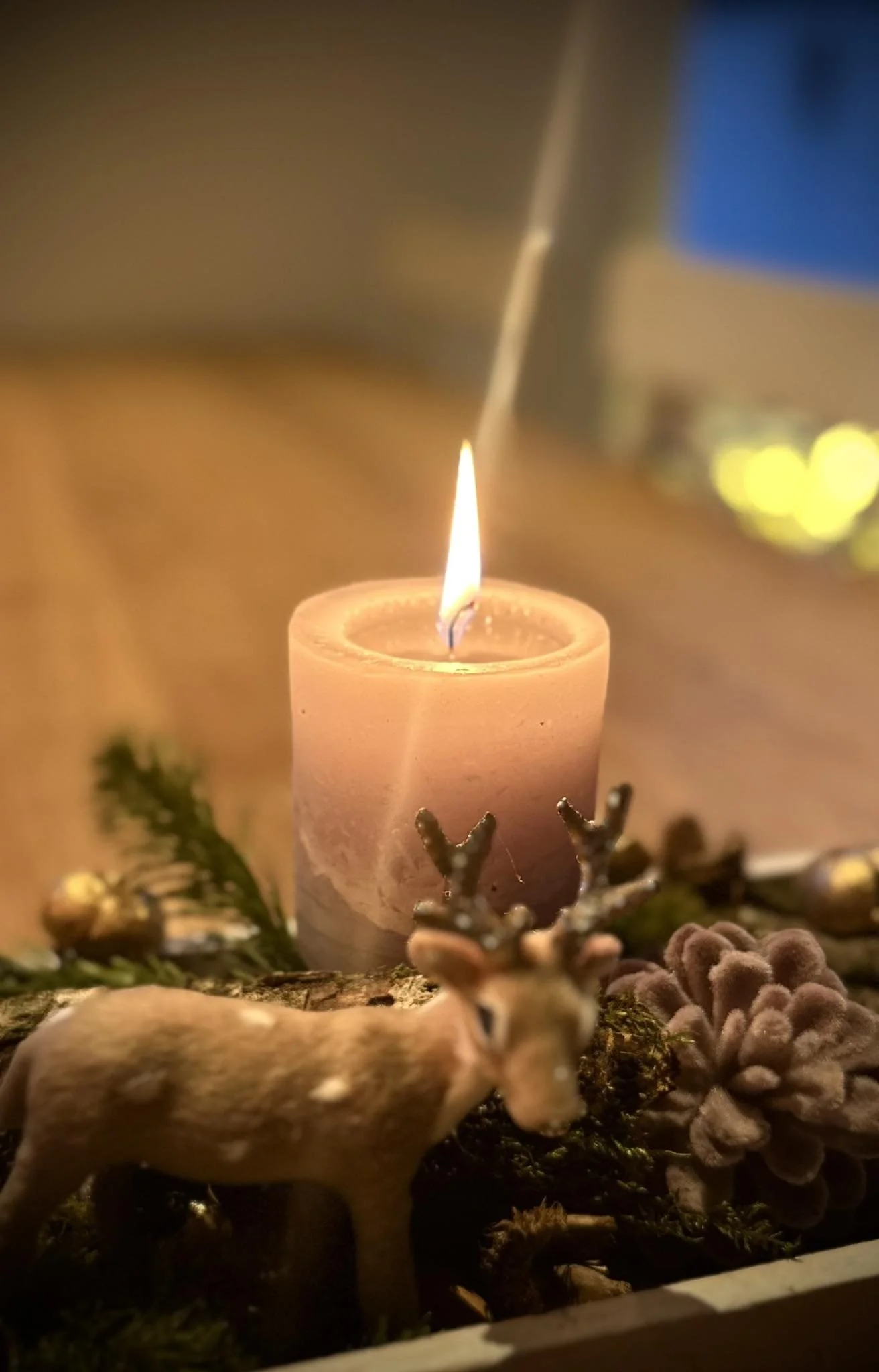CandleLightingDay_13.jpg