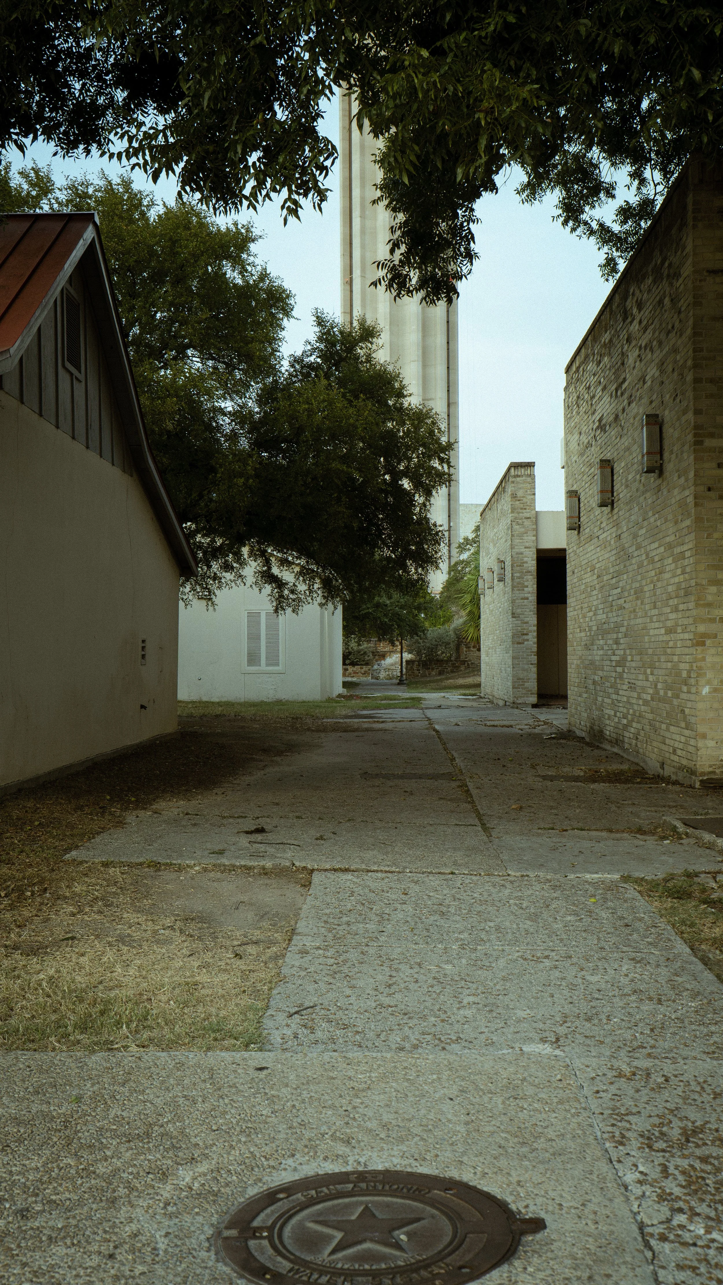 DSC01547.jpeg