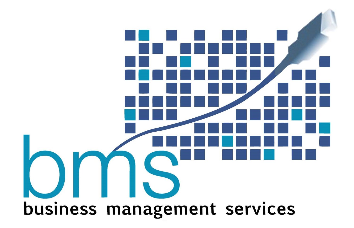 Business Management Services