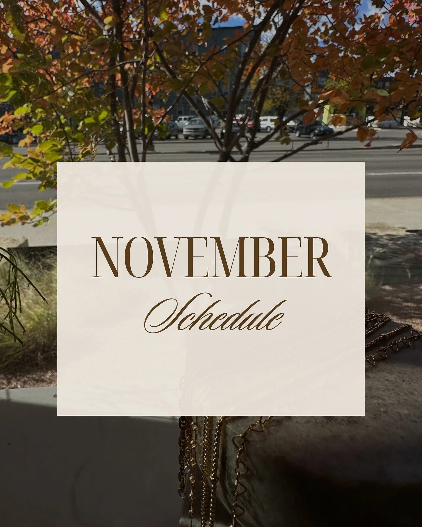 Excited for a busy November, come see us🤎